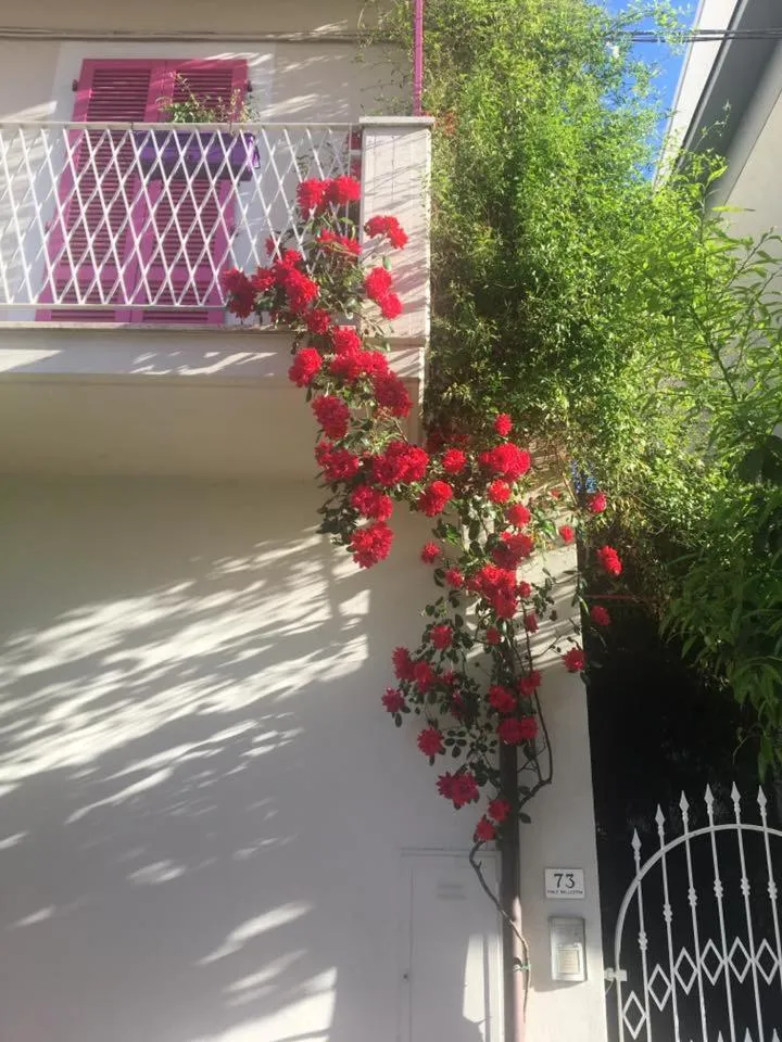 A Casa di LoLu