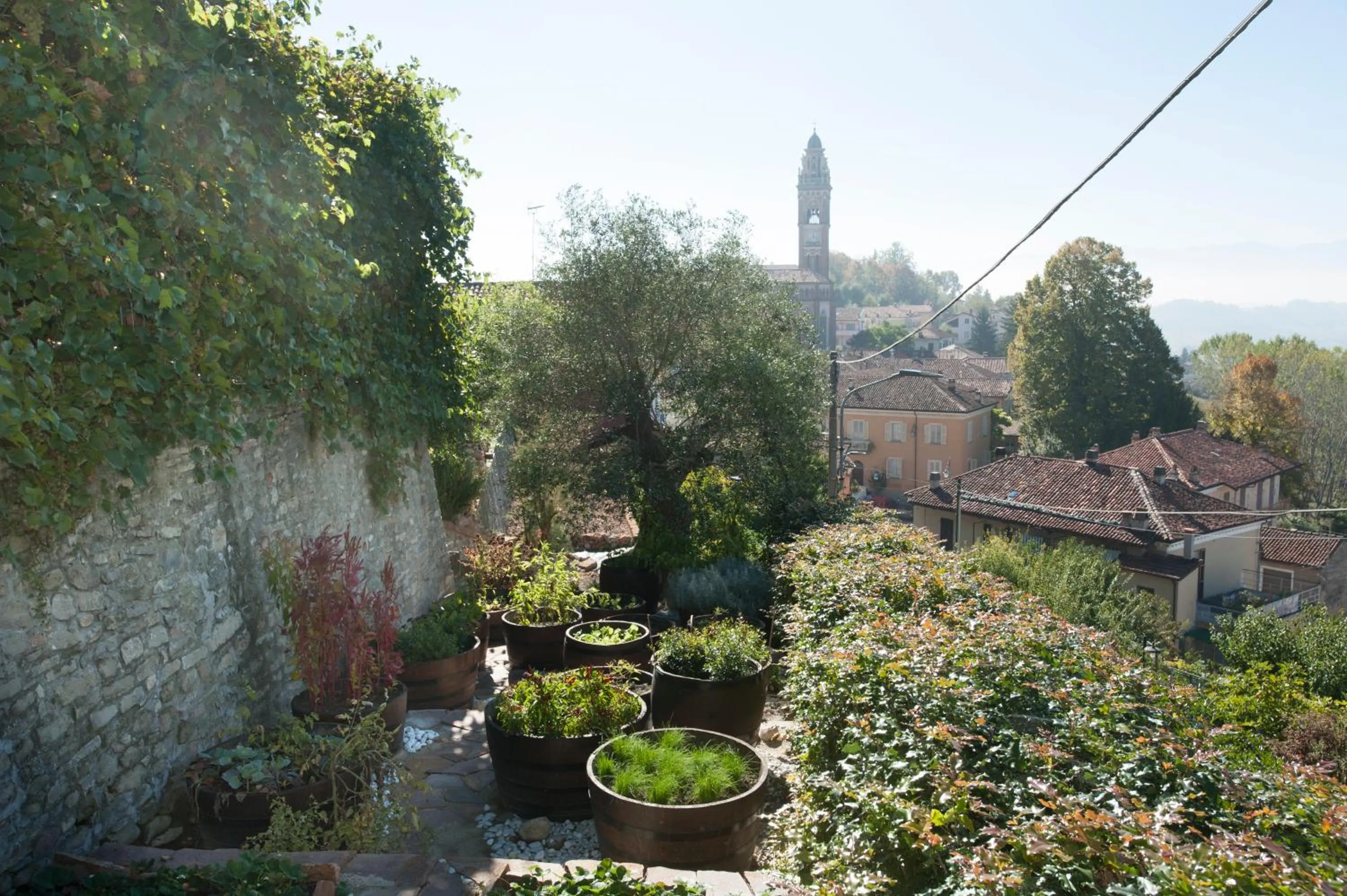 Garden in Felicin - Palazzo Boeri Panoramic Suites