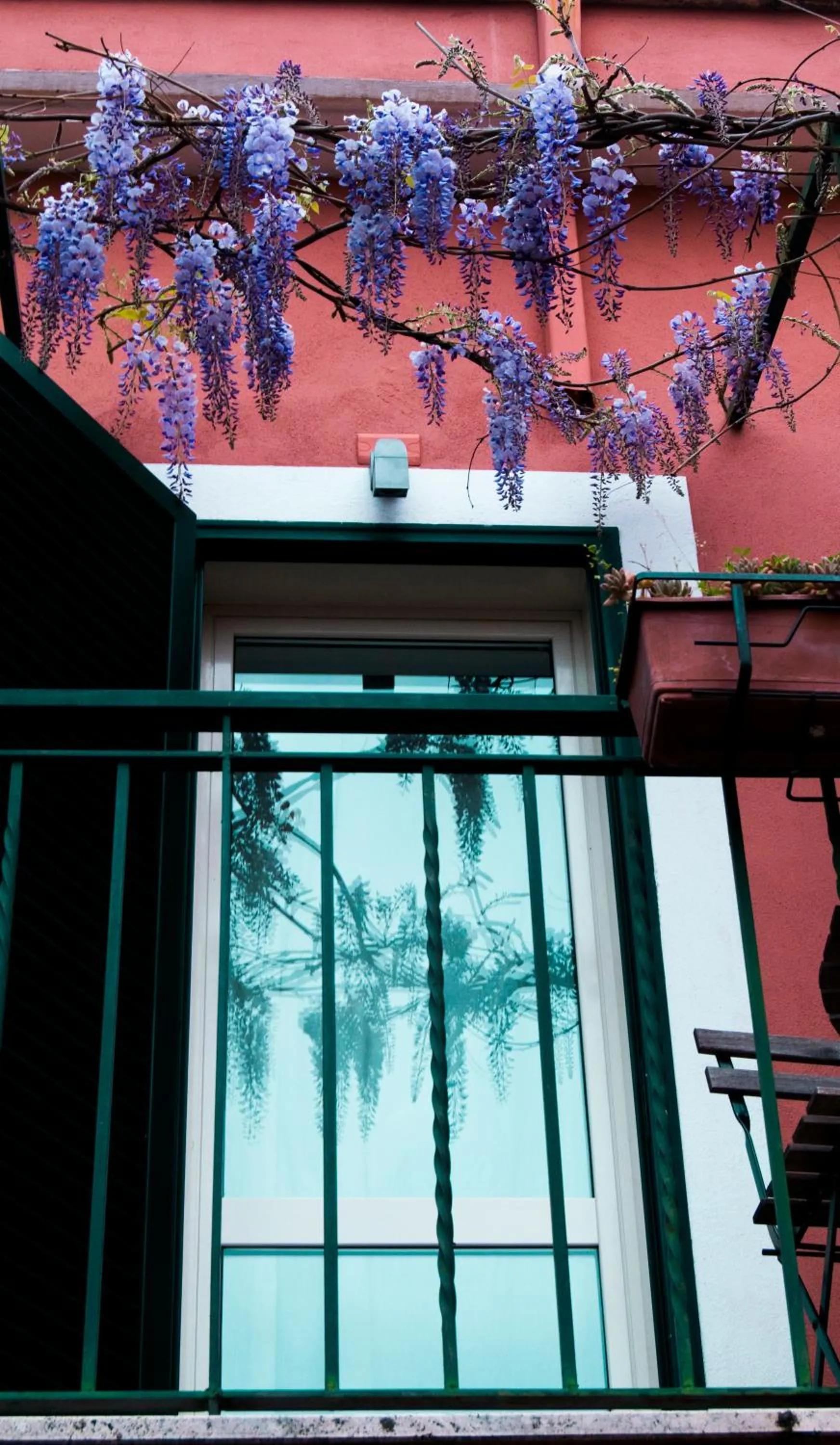 Garden view in Abbraccia Morfeo Roma