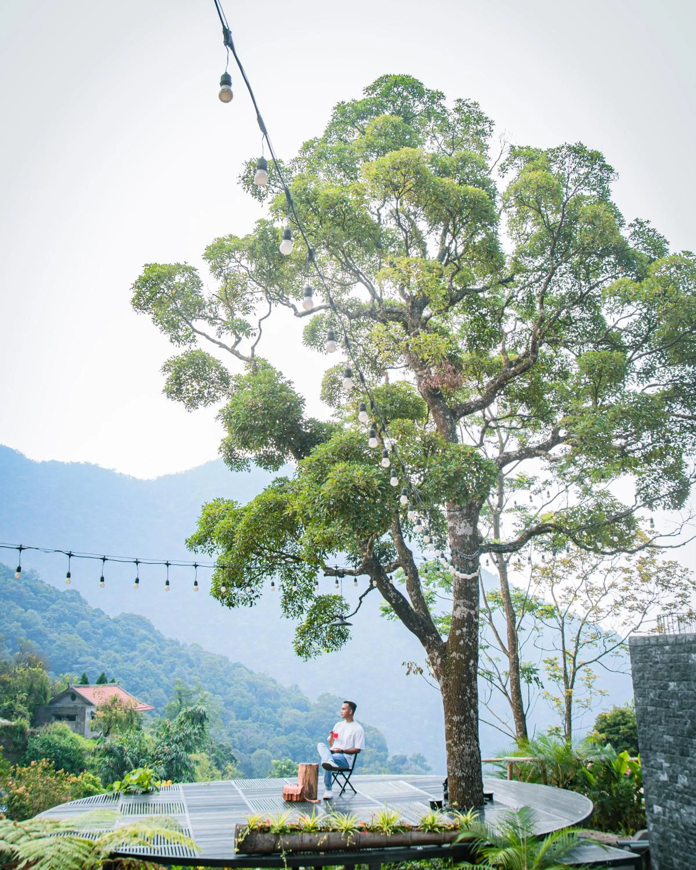 Garden in Le vent Tam Đảo homestay