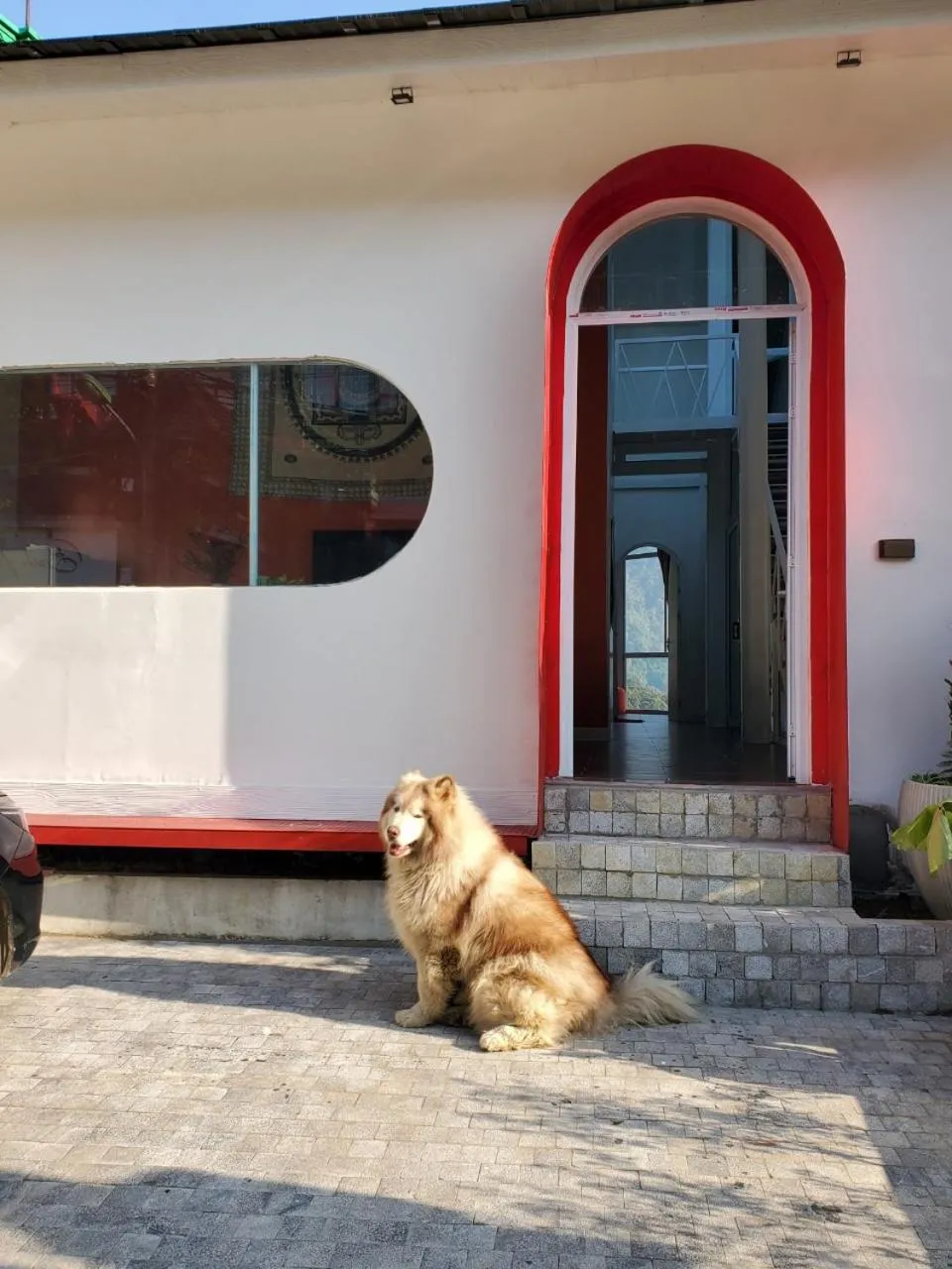 Le vent Tam Đảo homestay