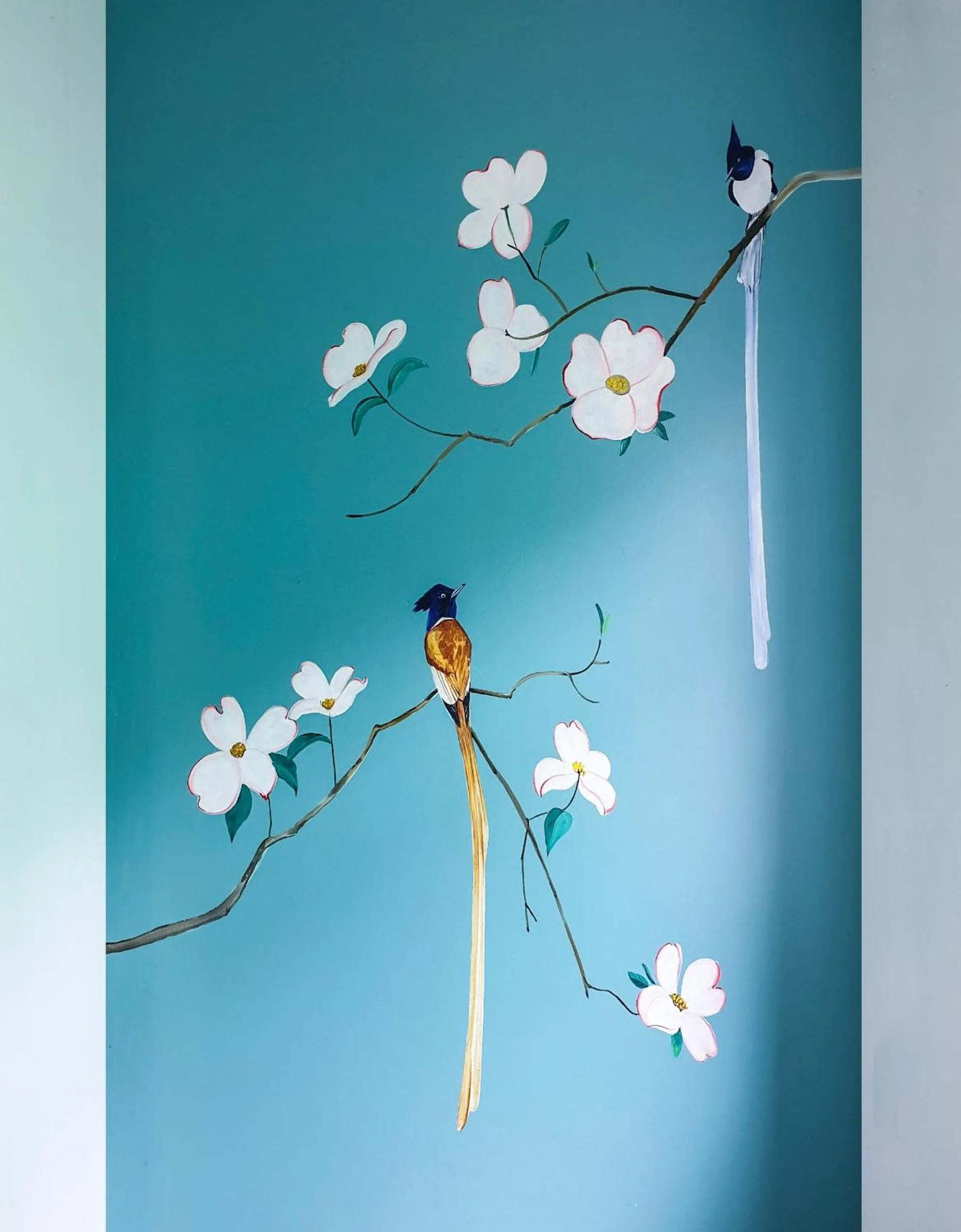 Le vent Tam Đảo homestay