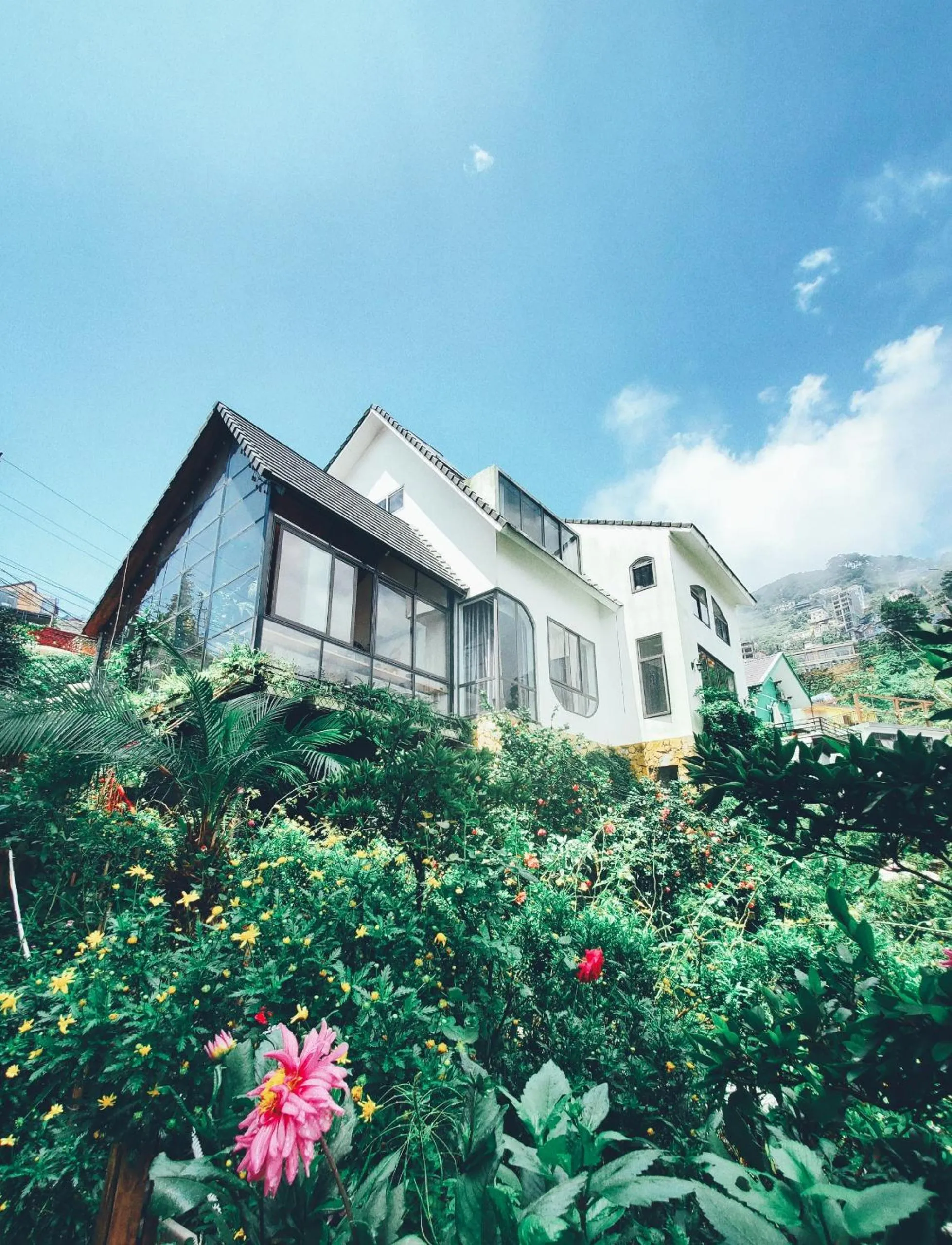 Le vent Tam Đảo homestay