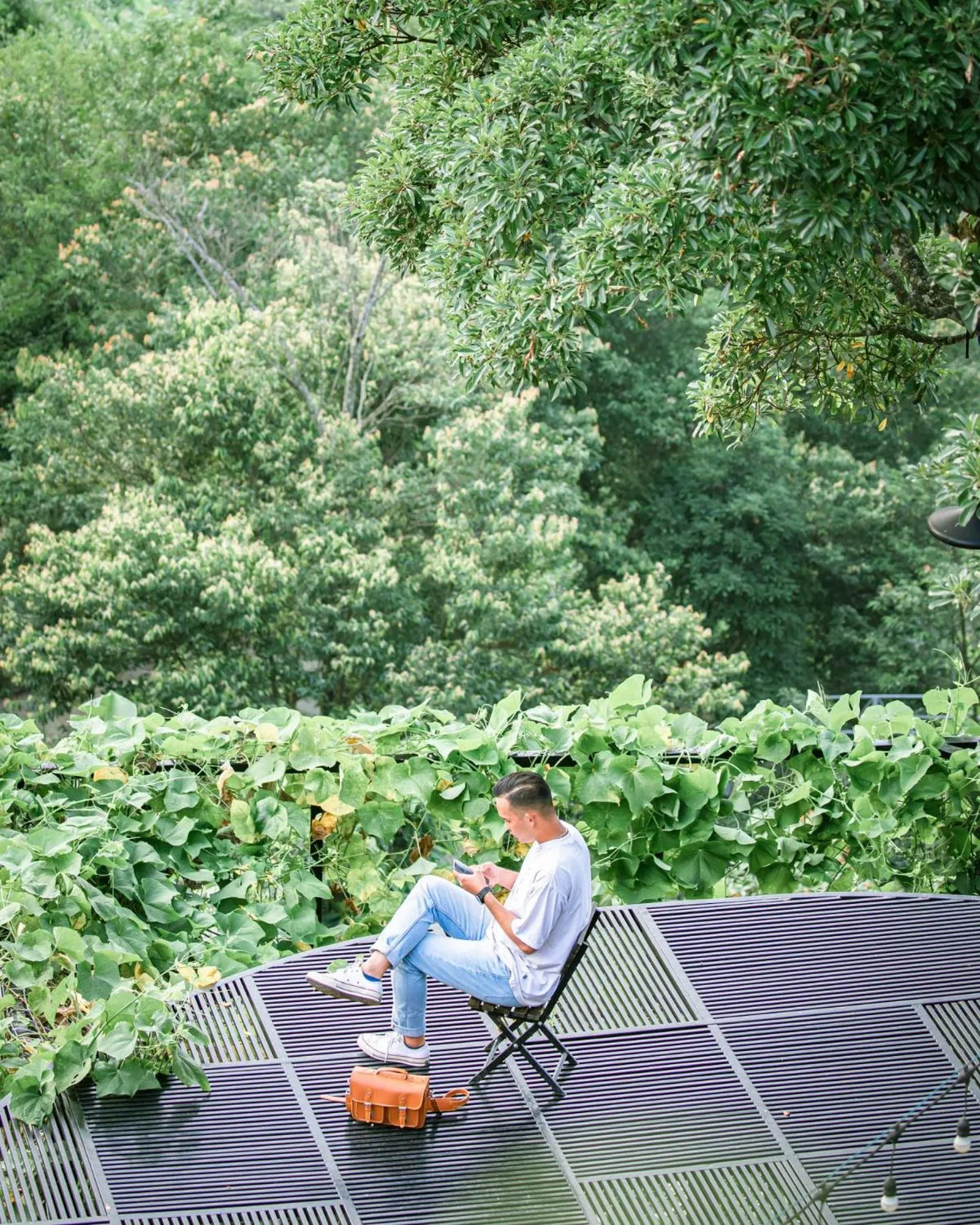 Le vent Tam Đảo homestay