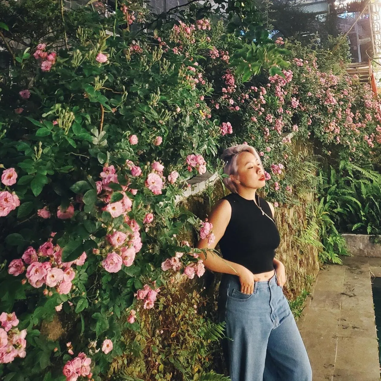 Le vent Tam Đảo homestay