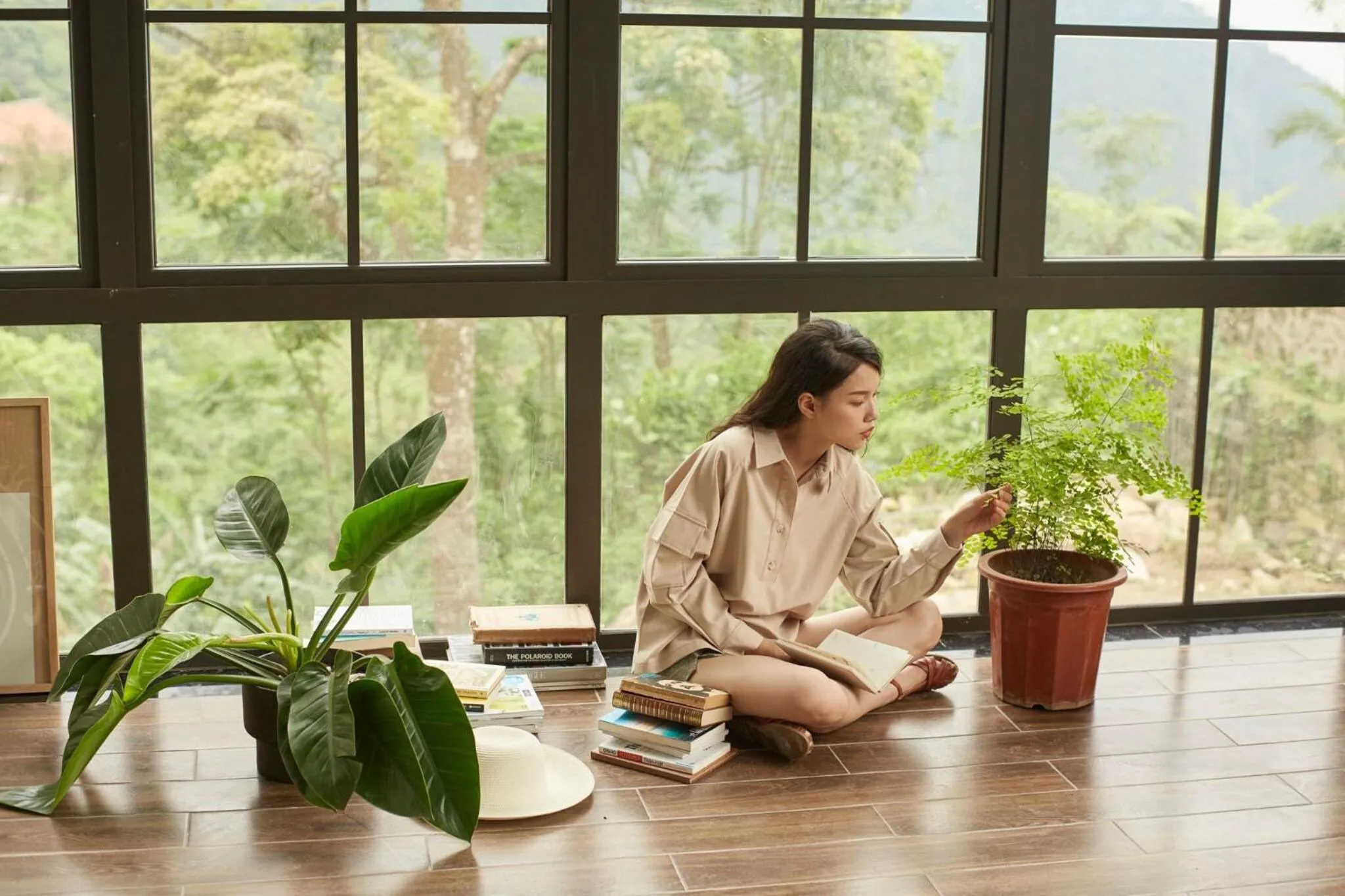 Le vent Tam Đảo homestay