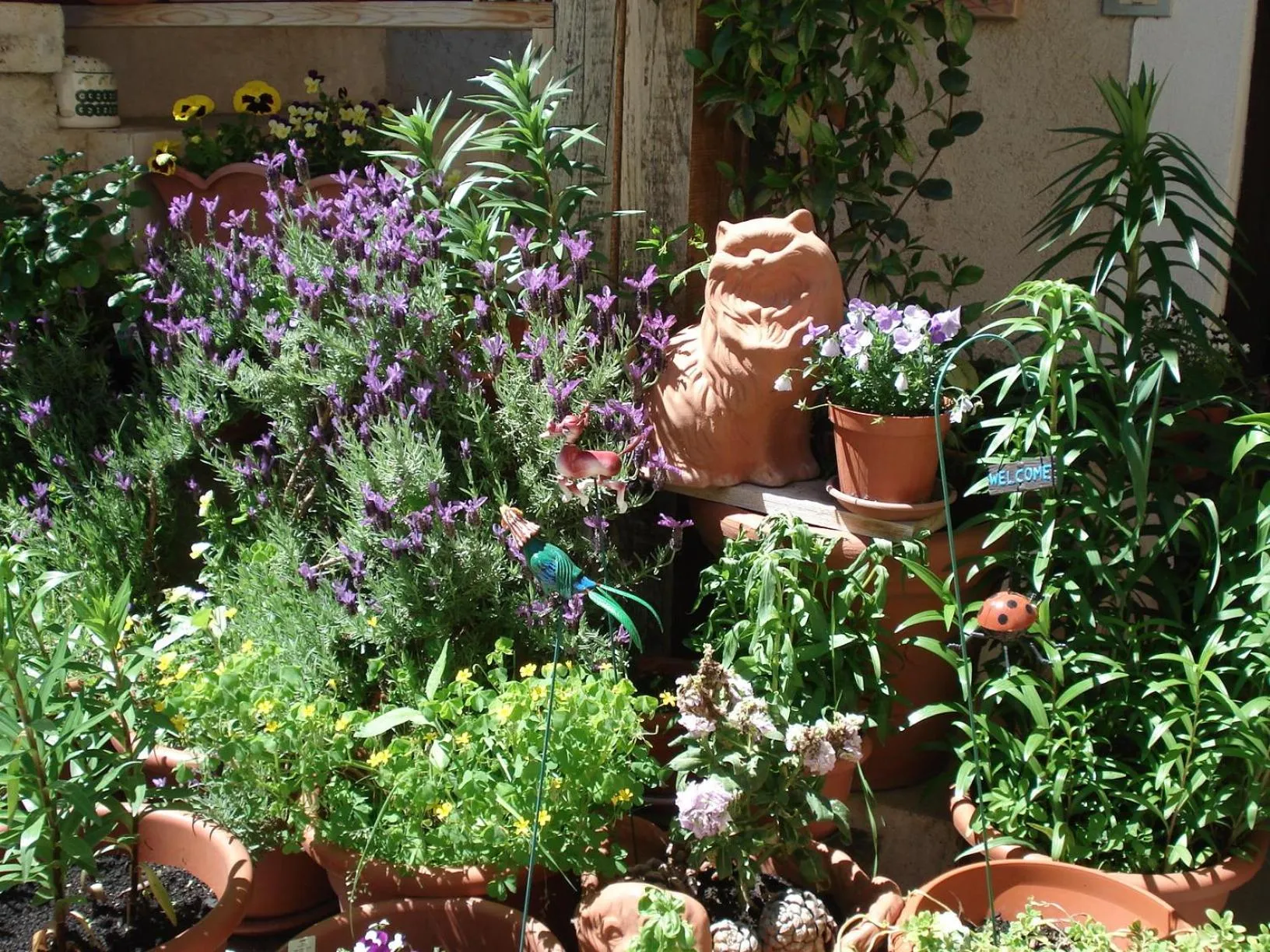 Facade/entrance in Abruzzo Segreto