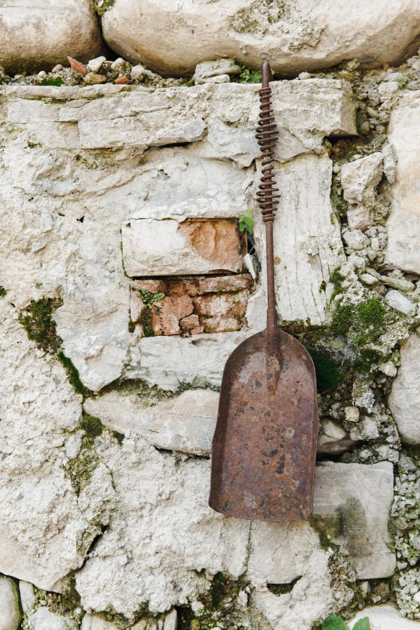 B&B AL VECCHIO CARPINO