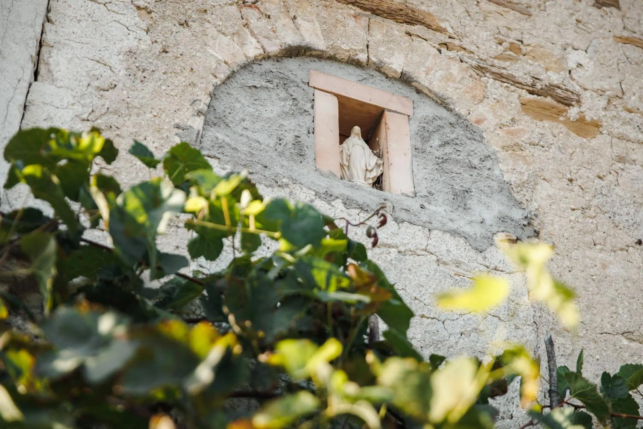 B&B AL VECCHIO CARPINO