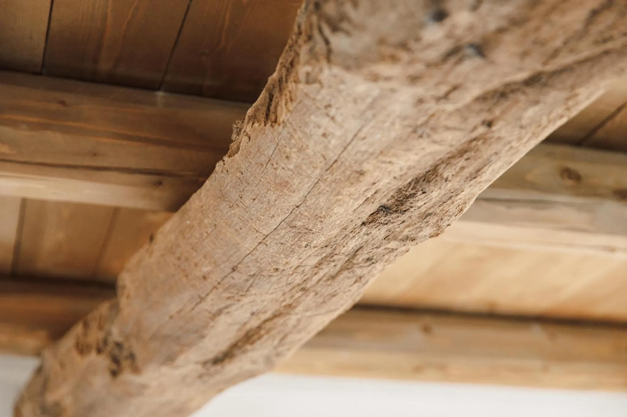 B&B AL VECCHIO CARPINO