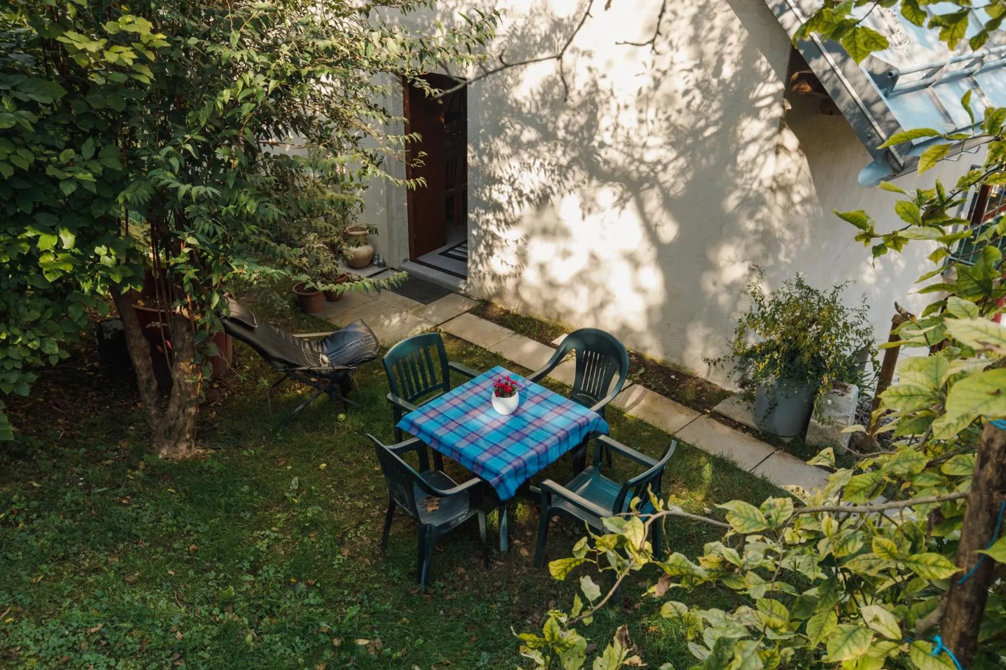 B&B AL VECCHIO CARPINO