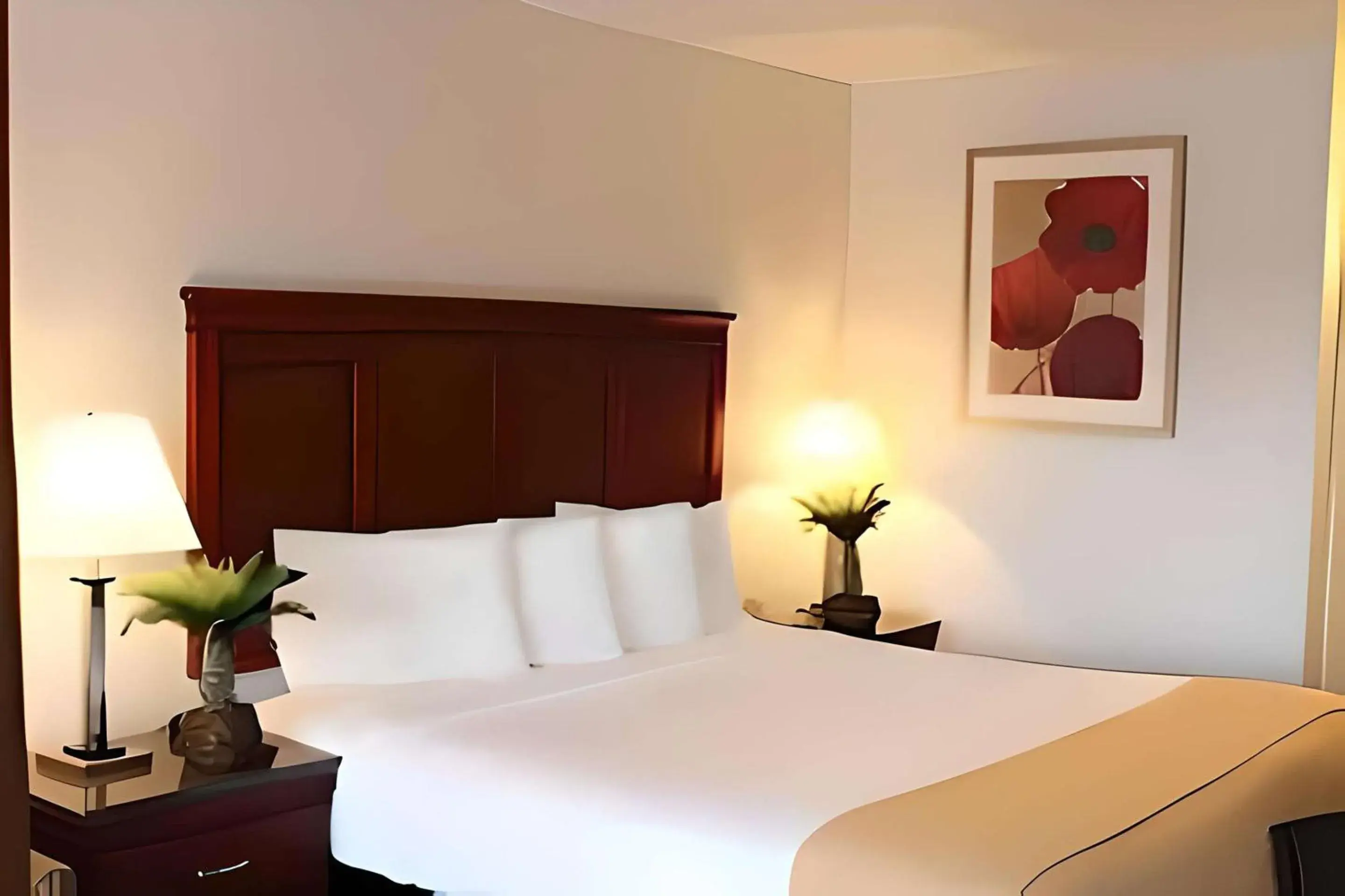 Bedroom, Bed in Rodeway Inn Santa Clara El Camino Real Bedroom, Bed in Rodeway Inn Santa Clara El Camino Real