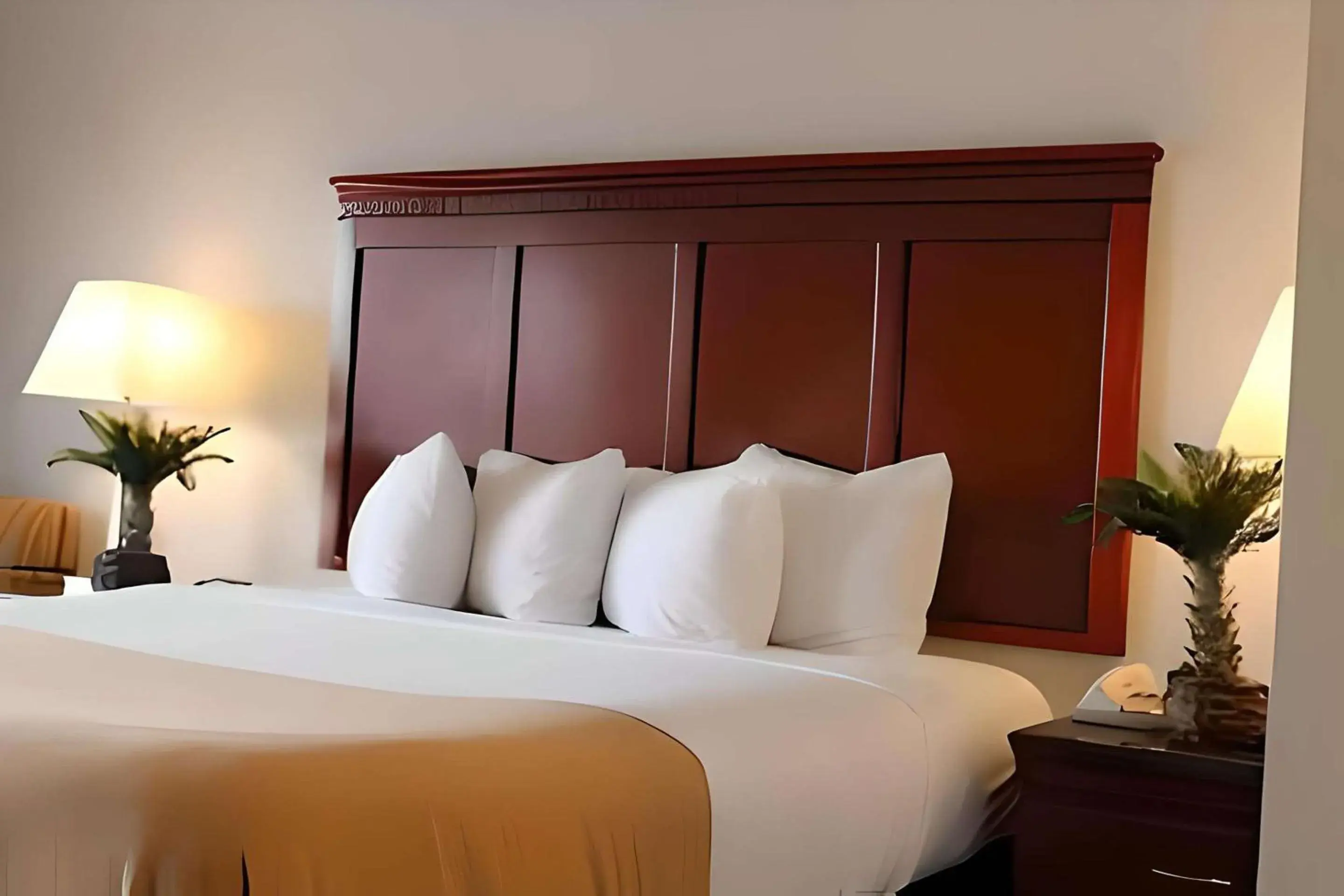 Bedroom, Bed in Rodeway Inn Santa Clara El Camino Real Bedroom, Bed in Rodeway Inn Santa Clara El Camino Real