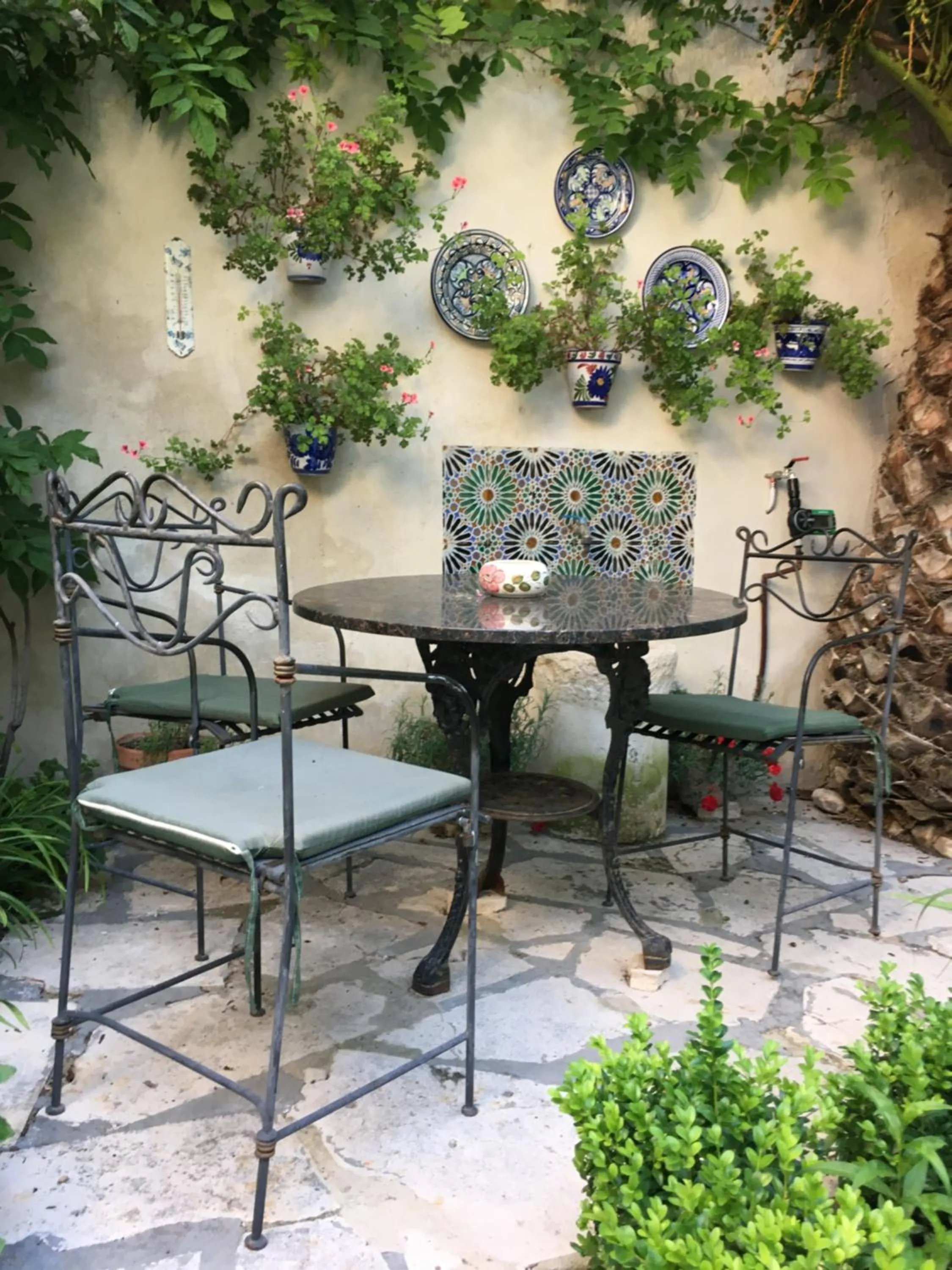 Garden in Casa San Roque