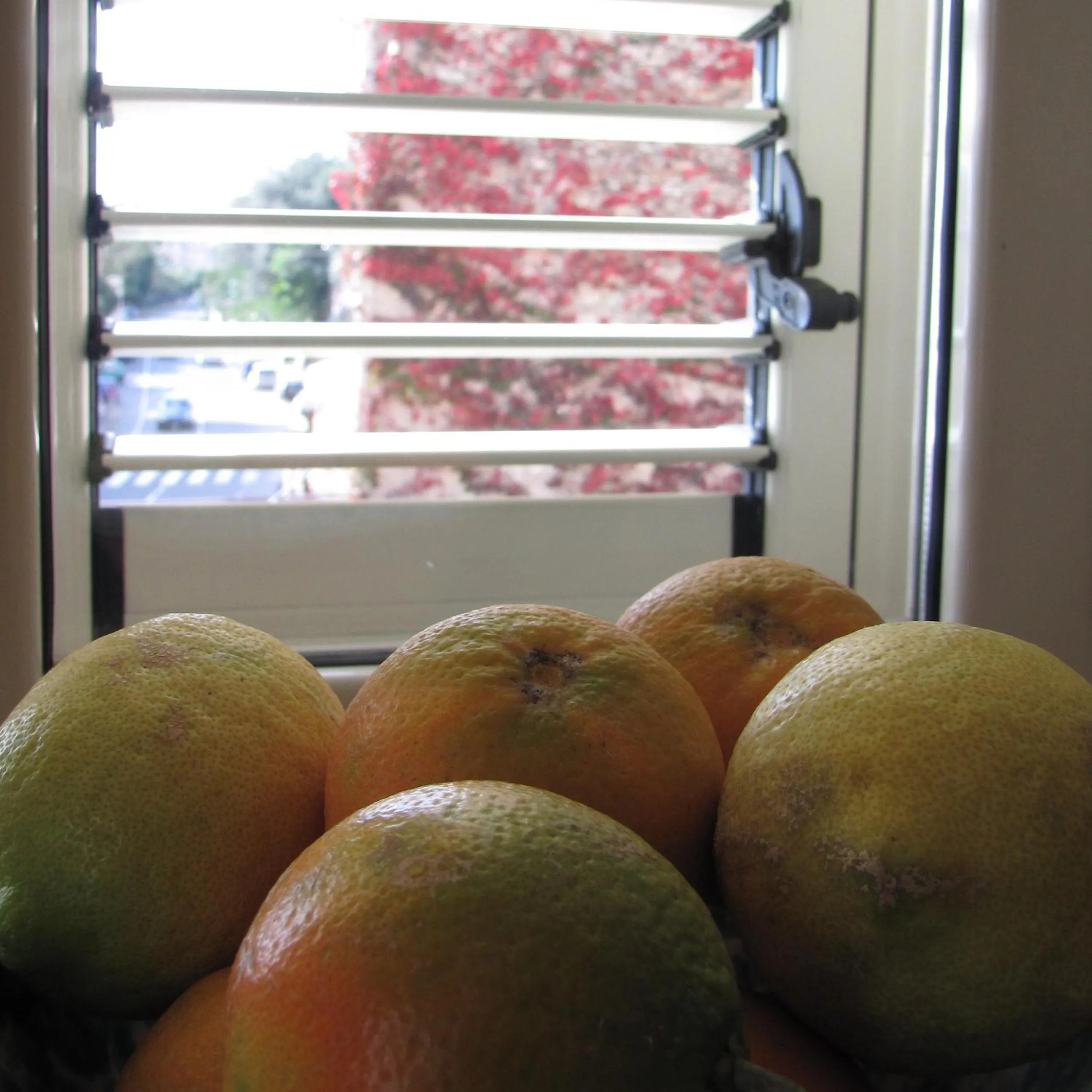 Decorative detail in B&B Agon