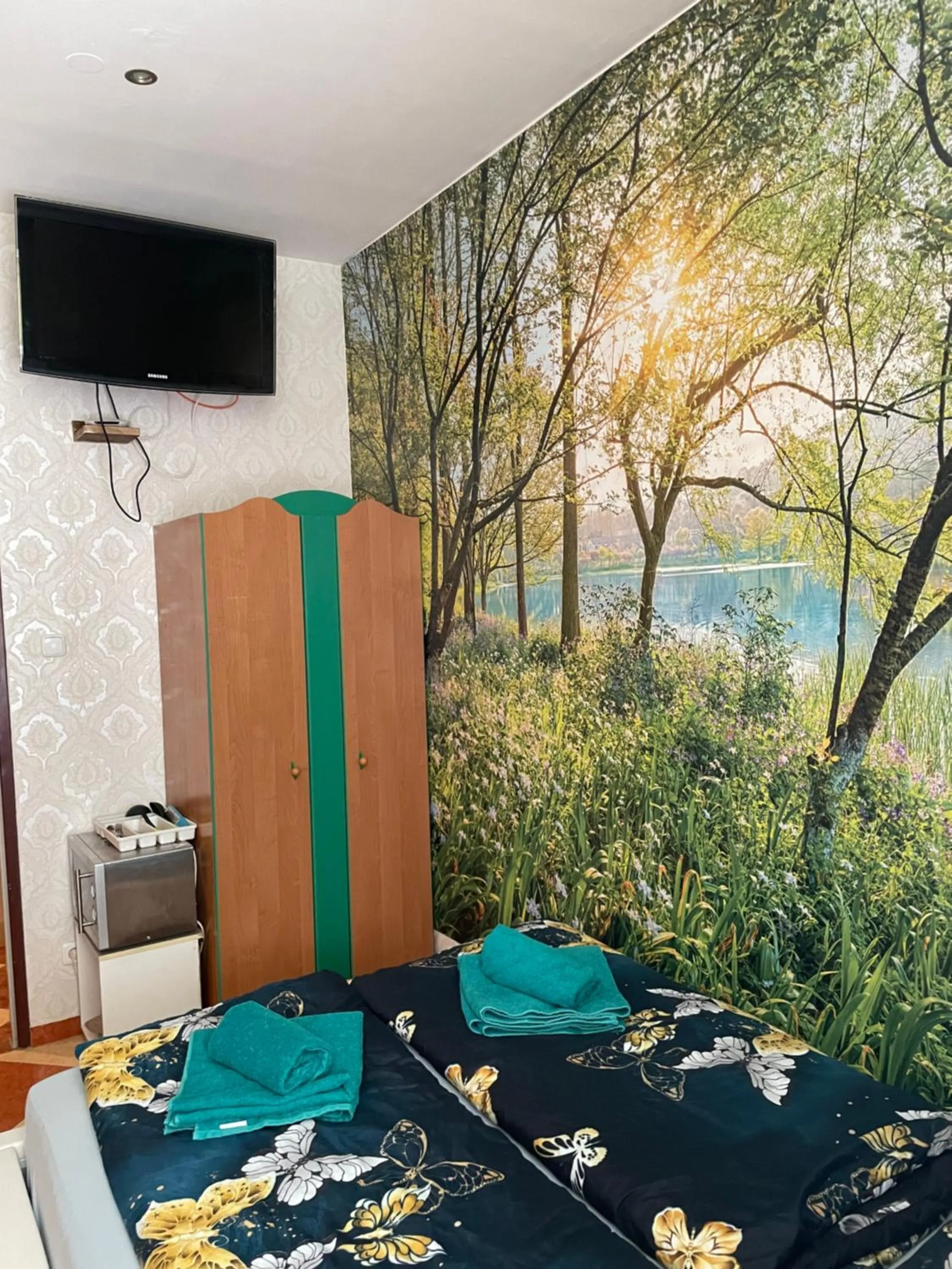 TV and multimedia in Viktoria ARTUR