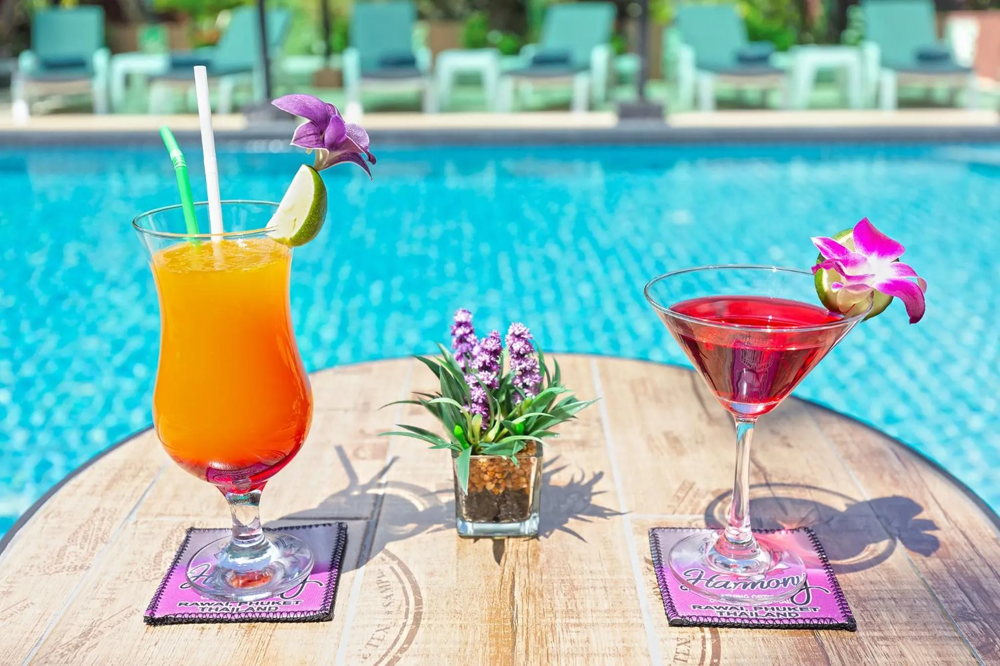 Drinks in Harmony Naturist Resort Rawai Phuket 18yr minimum age only nudist nake d FKK