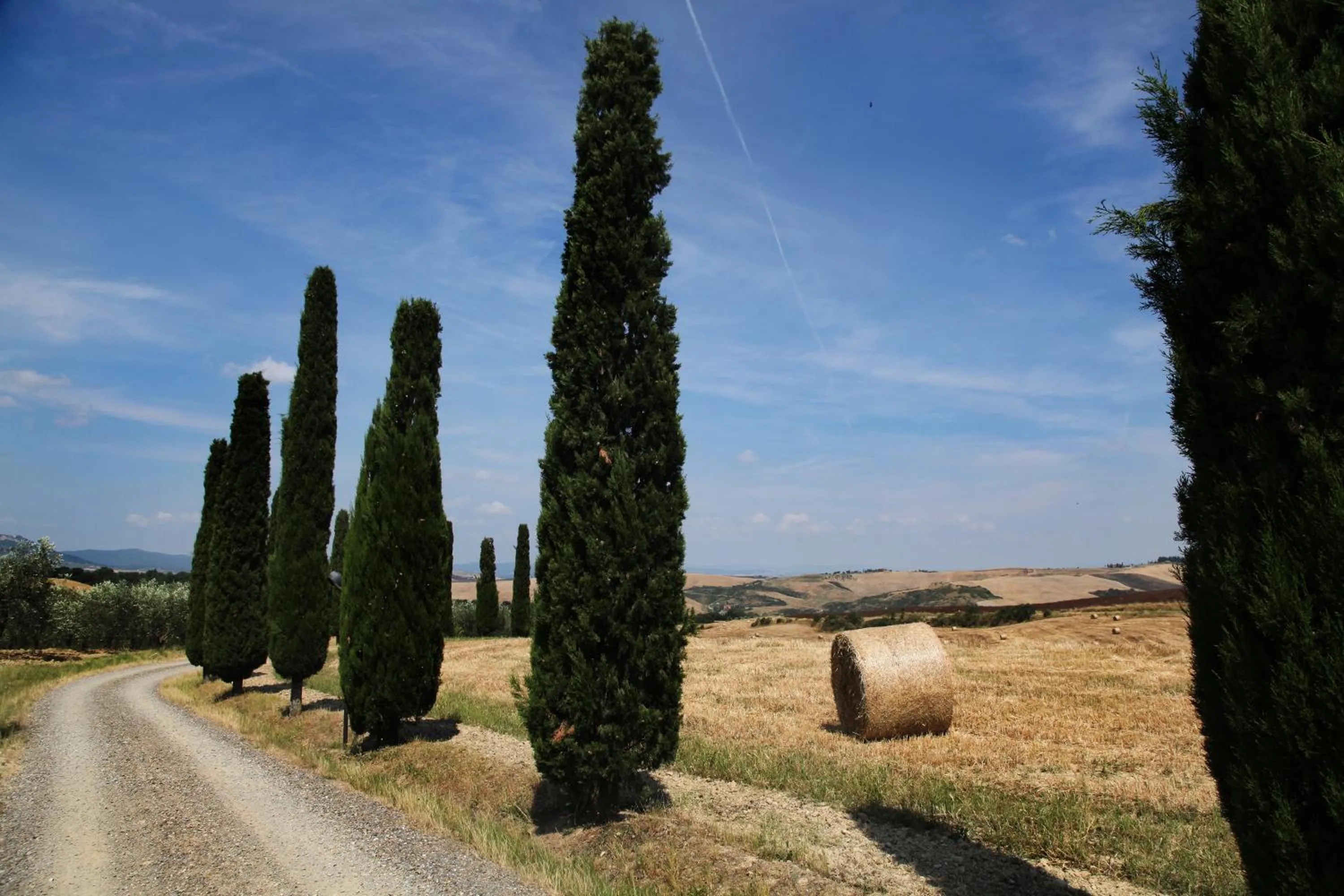 Natural landscape in Agriturismo Bagnaia