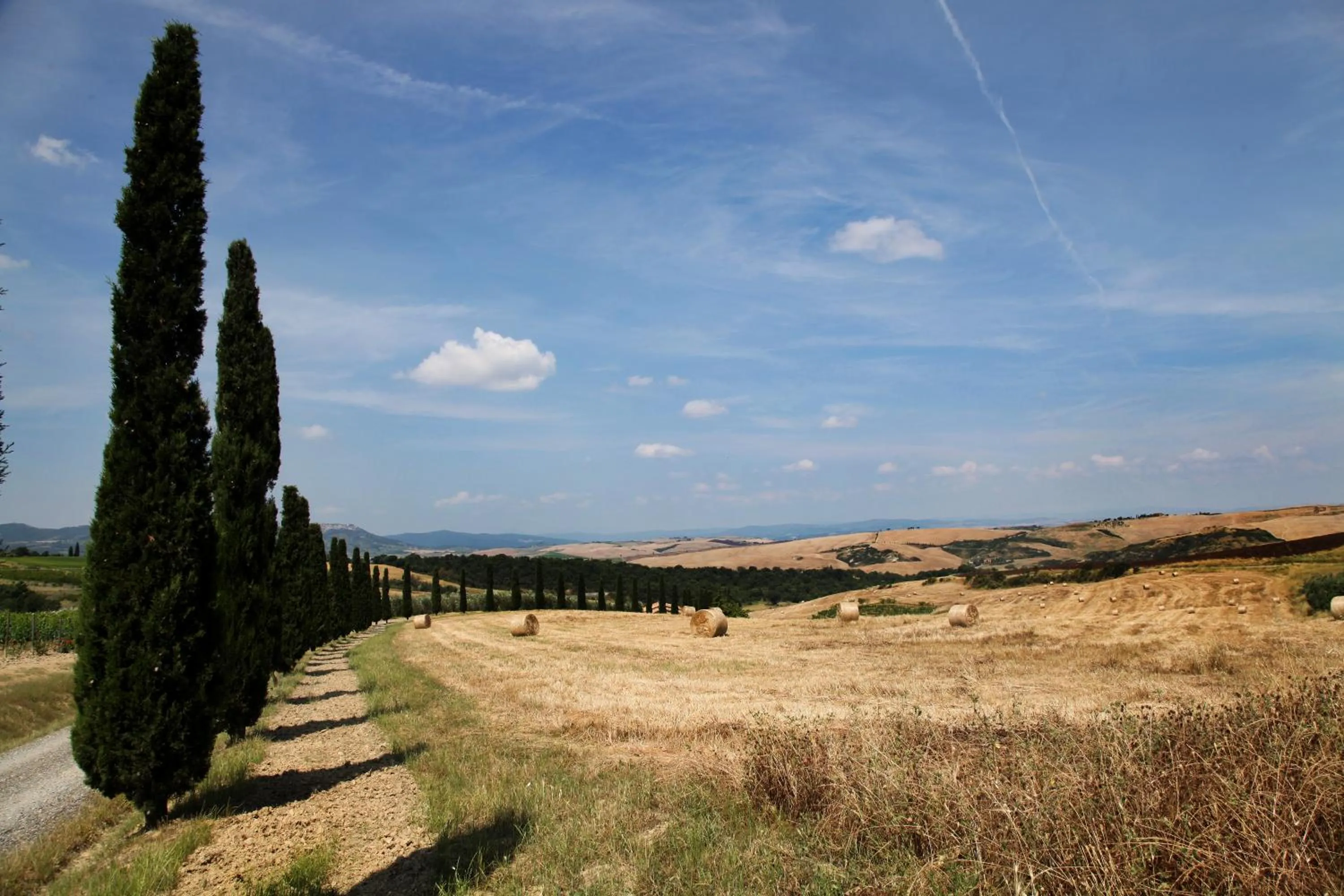 Summer in Agriturismo Bagnaia