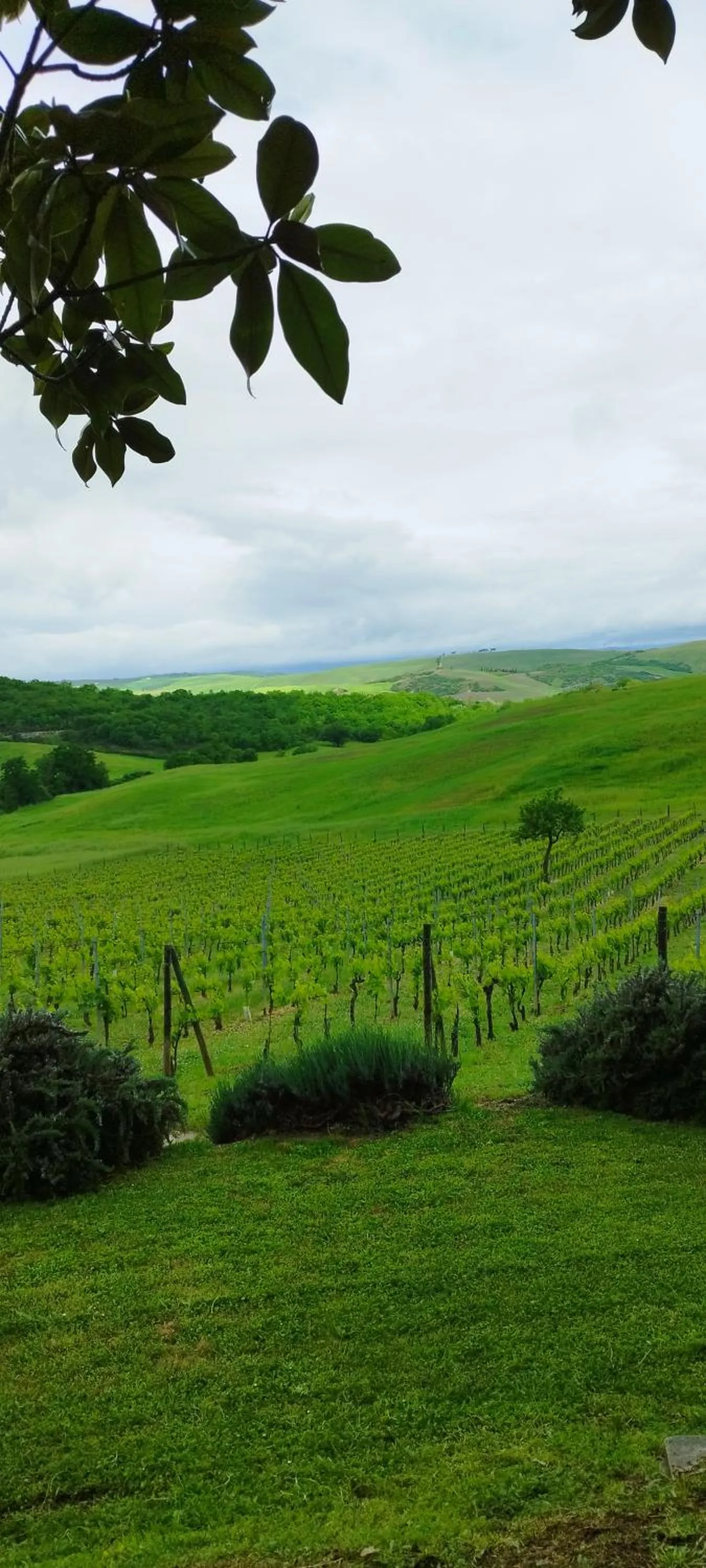 Agriturismo Bagnaia