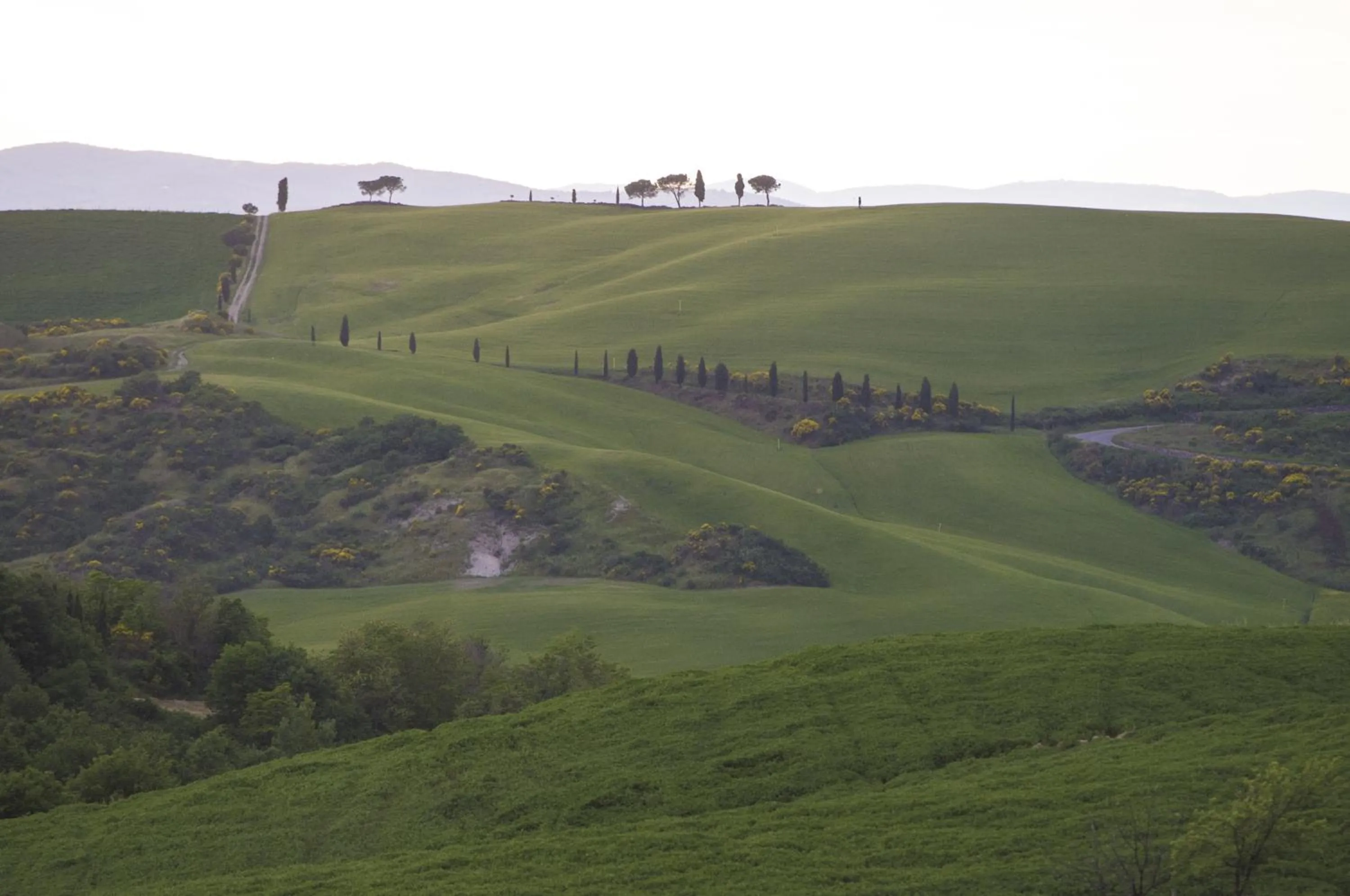 View (from property/room) in Agriturismo Bagnaia