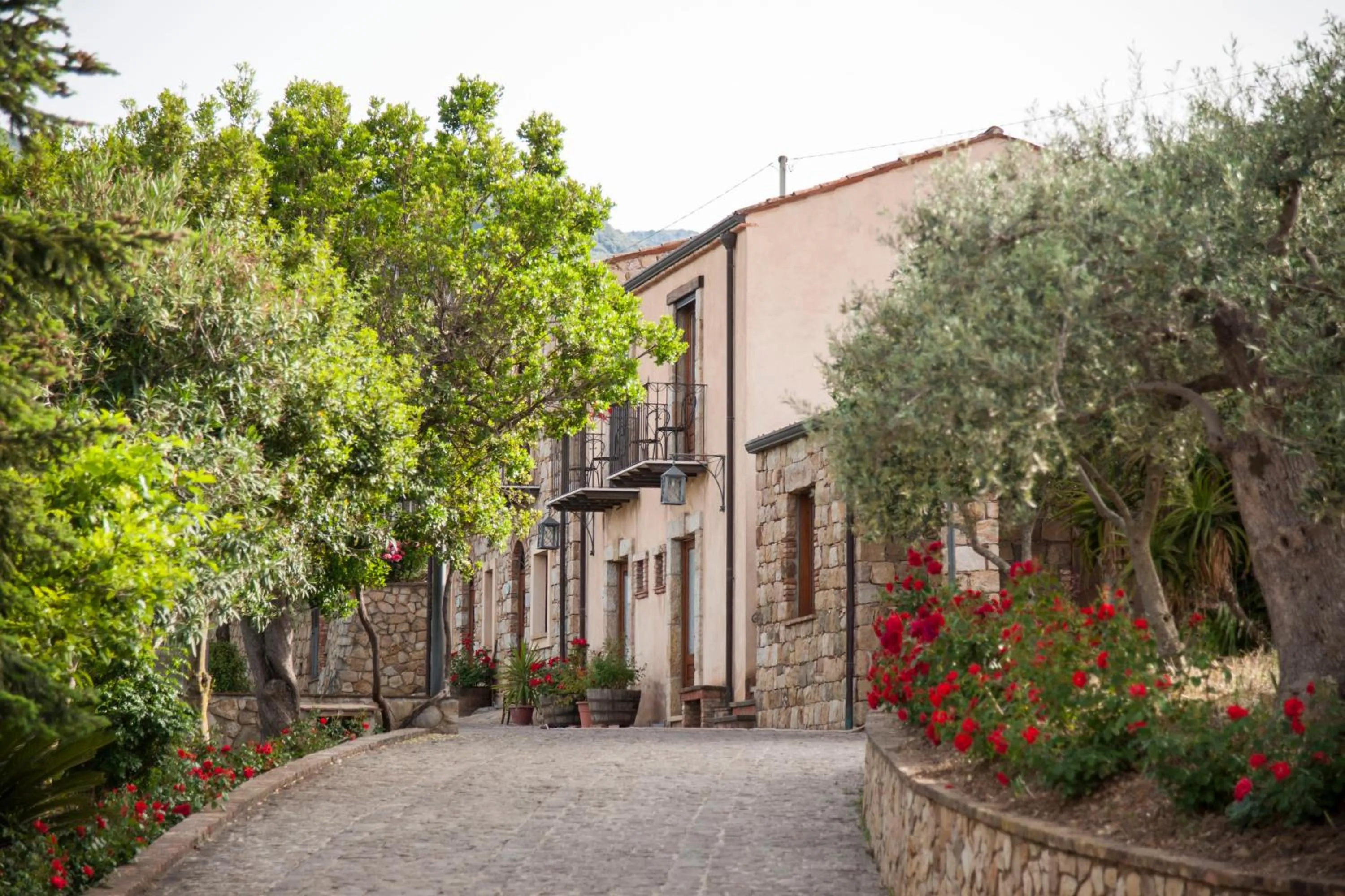 Garden view in Azienda Agrituristica Bergi