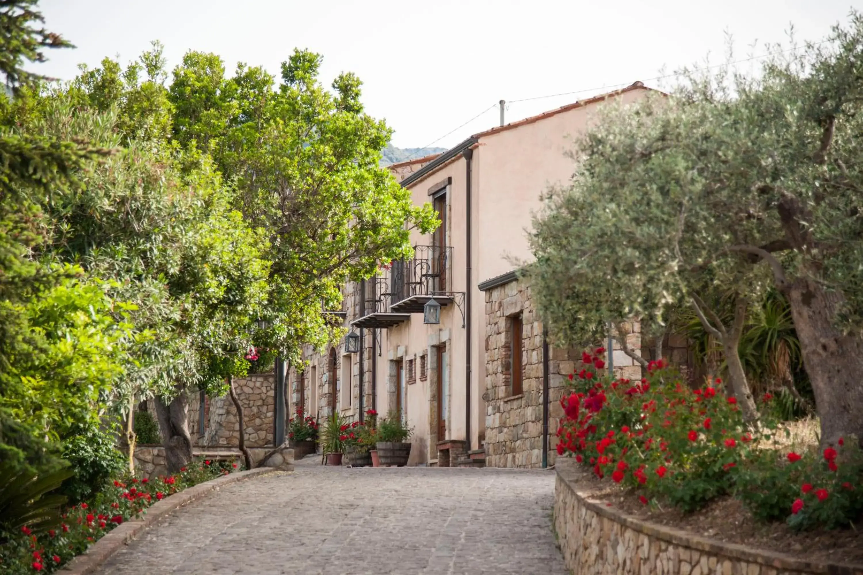 Garden view in Azienda Agrituristica Bergi Garden view in Azienda Agrituristica Bergi