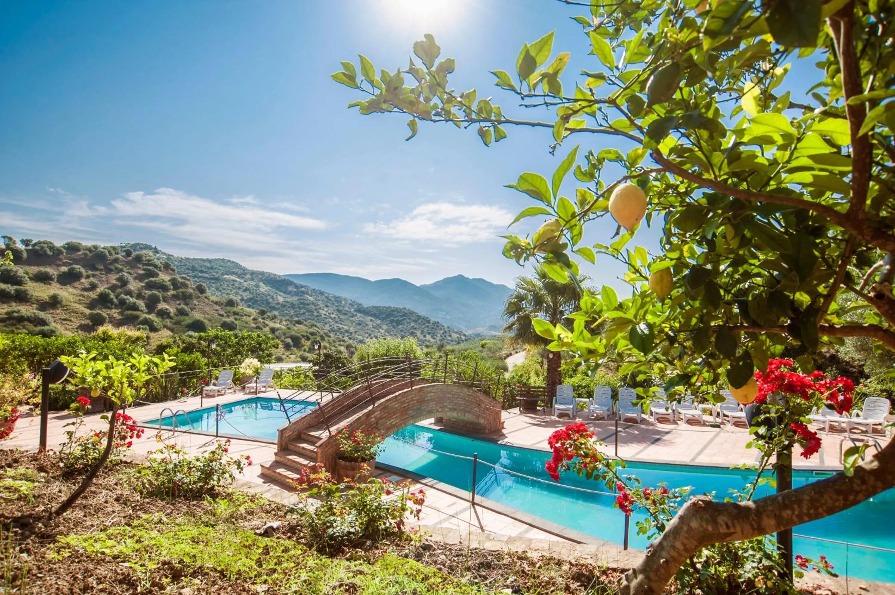 Pool view in Azienda Agrituristica Bergi