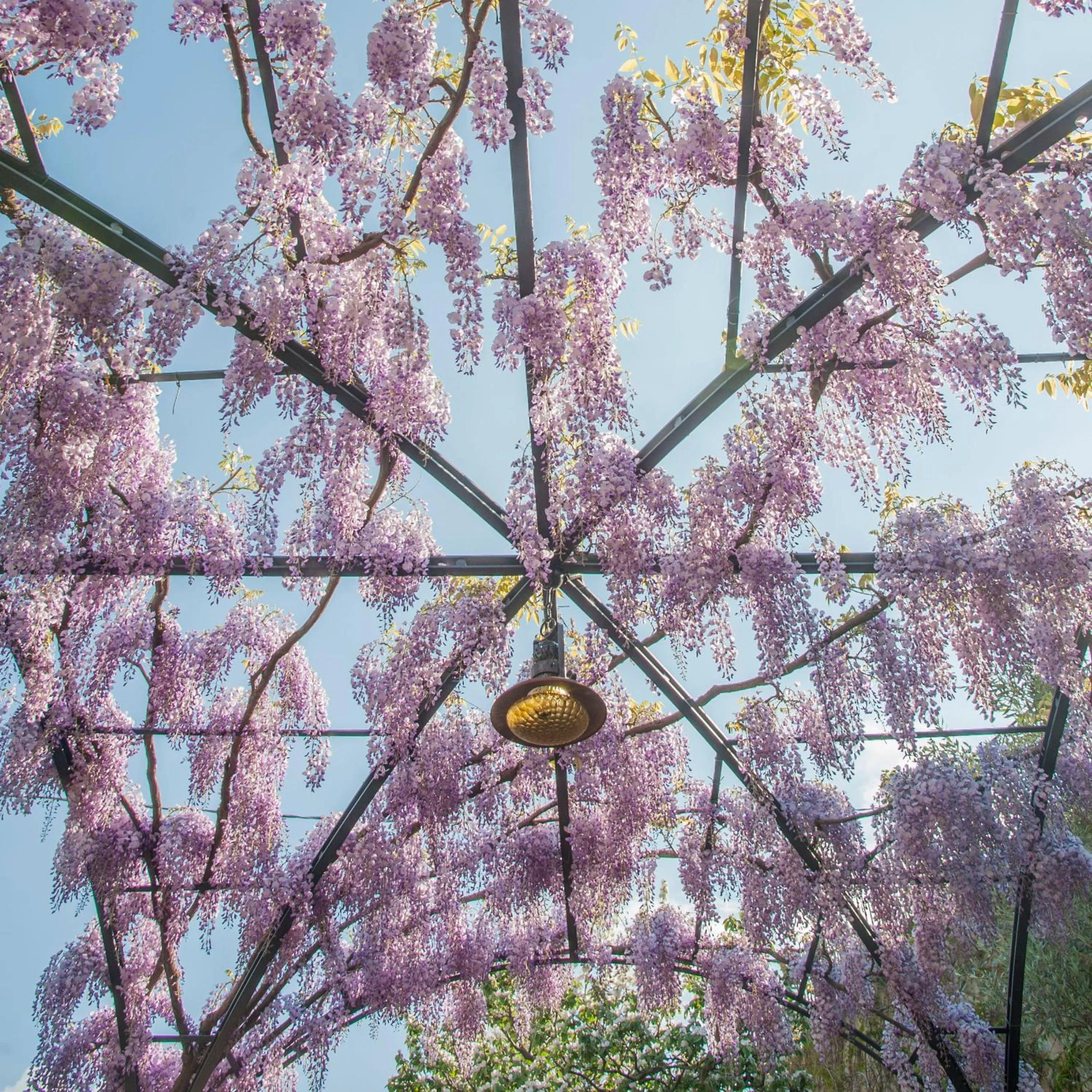 Spring in Azienda Agrituristica Bergi