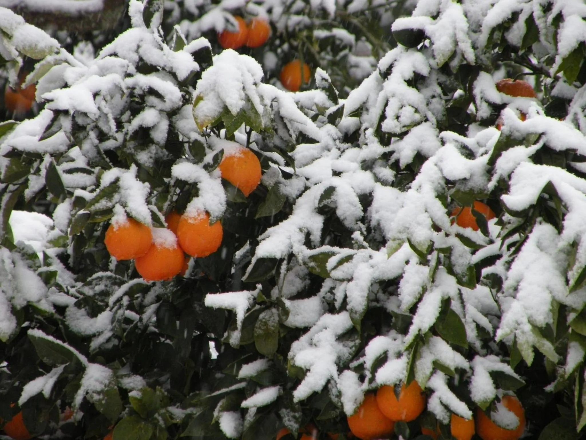 Winter in Azienda Agrituristica Bergi