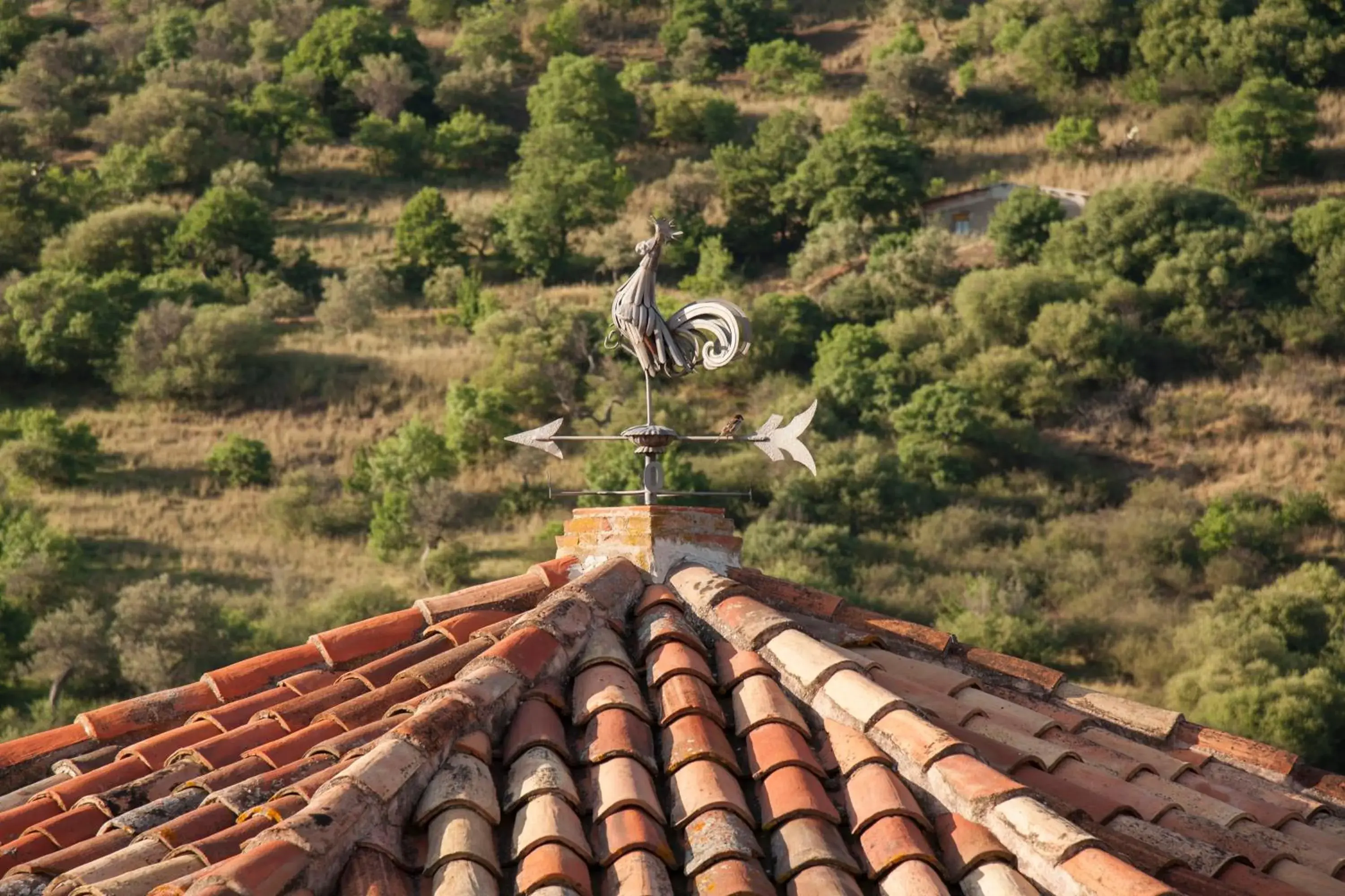 Property building in Azienda Agrituristica Bergi Property building in Azienda Agrituristica Bergi