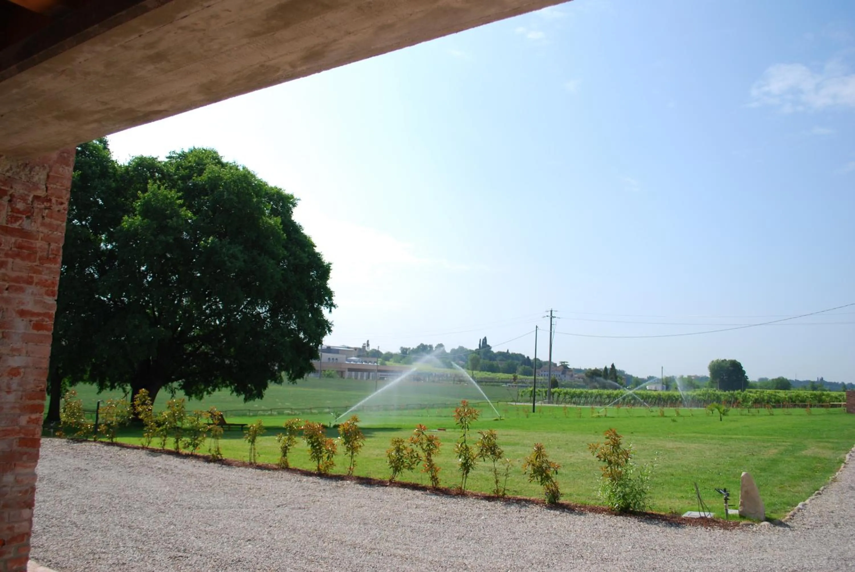 View (from property/room) in Agriturismo Bosco Del Gal