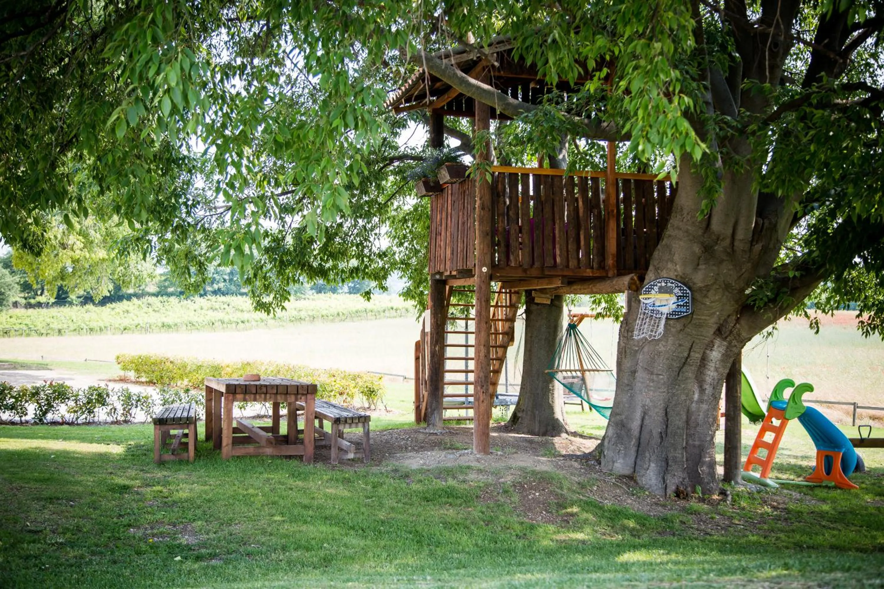 View (from property/room) in Agriturismo Bosco Del Gal