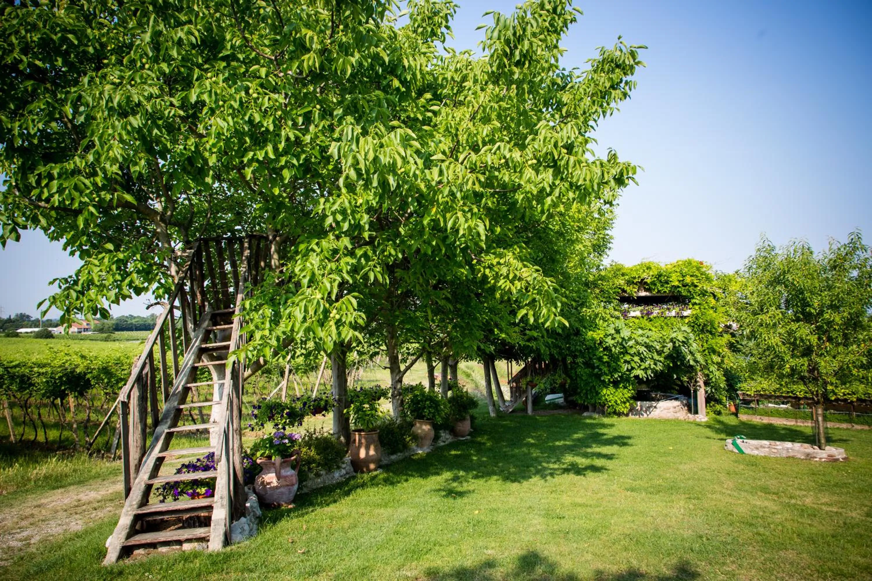 Garden in Agriturismo Bosco Del Gal