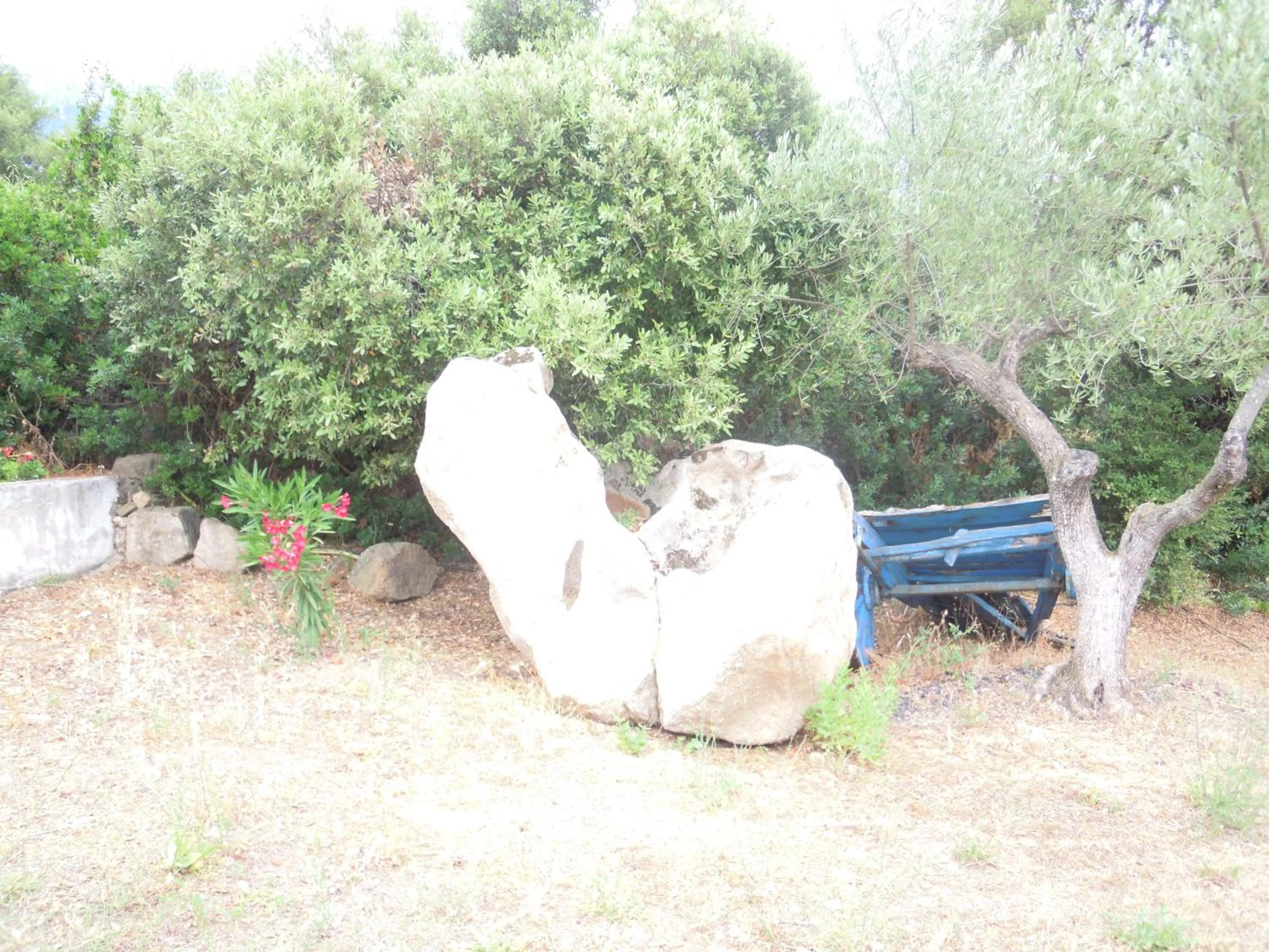 Agriturismo Camisadu