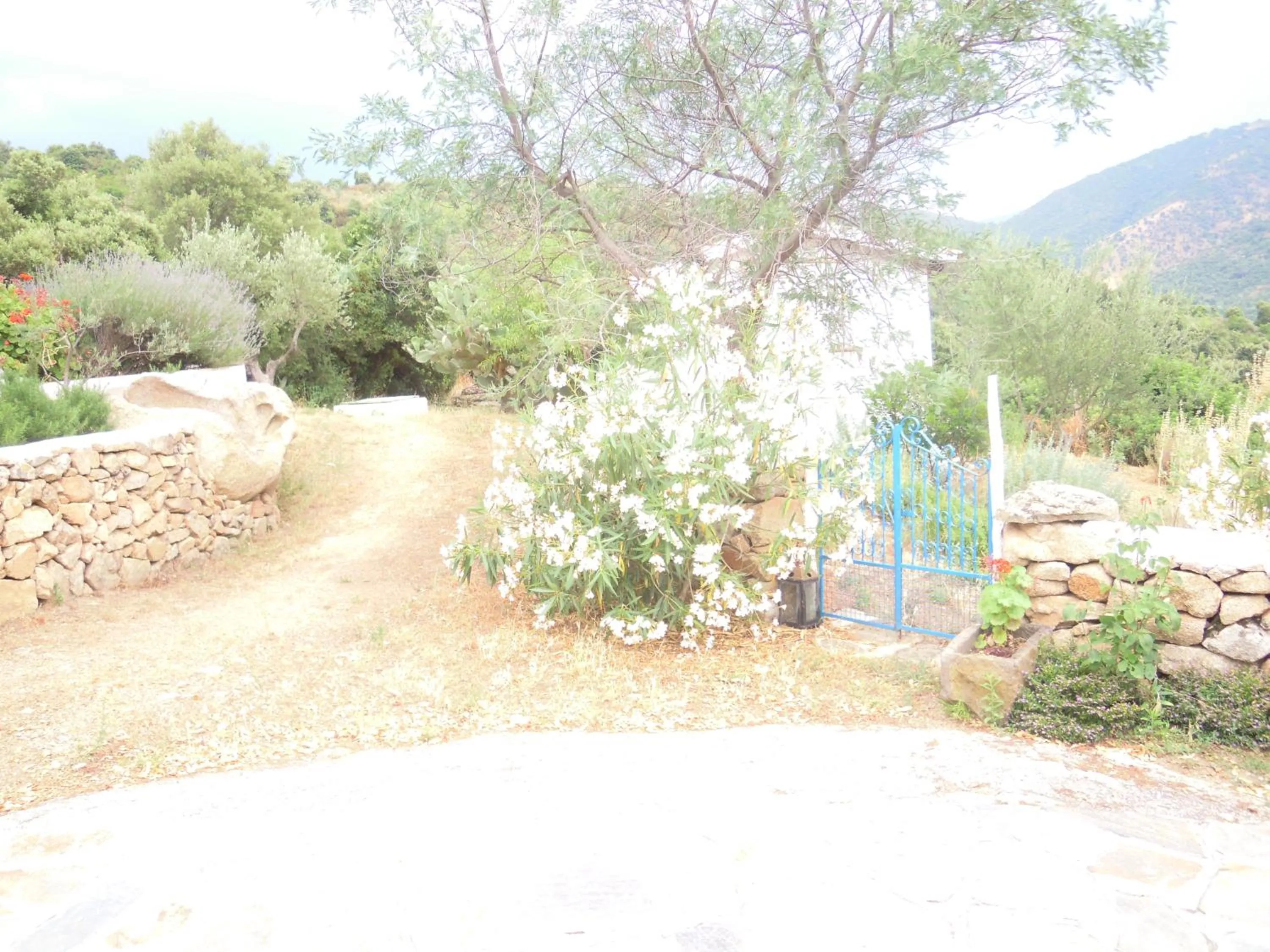 Agriturismo Camisadu