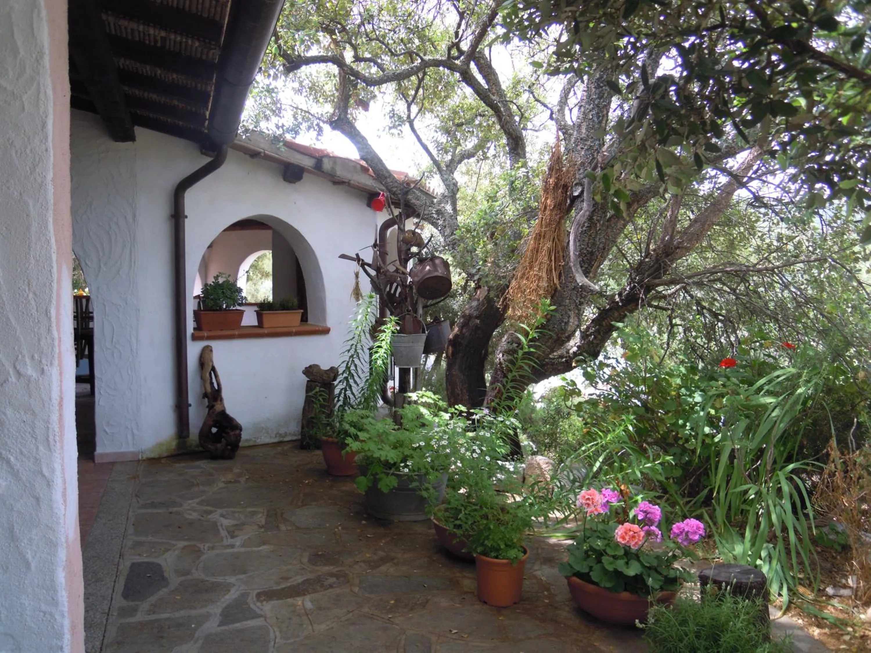 Agriturismo Camisadu