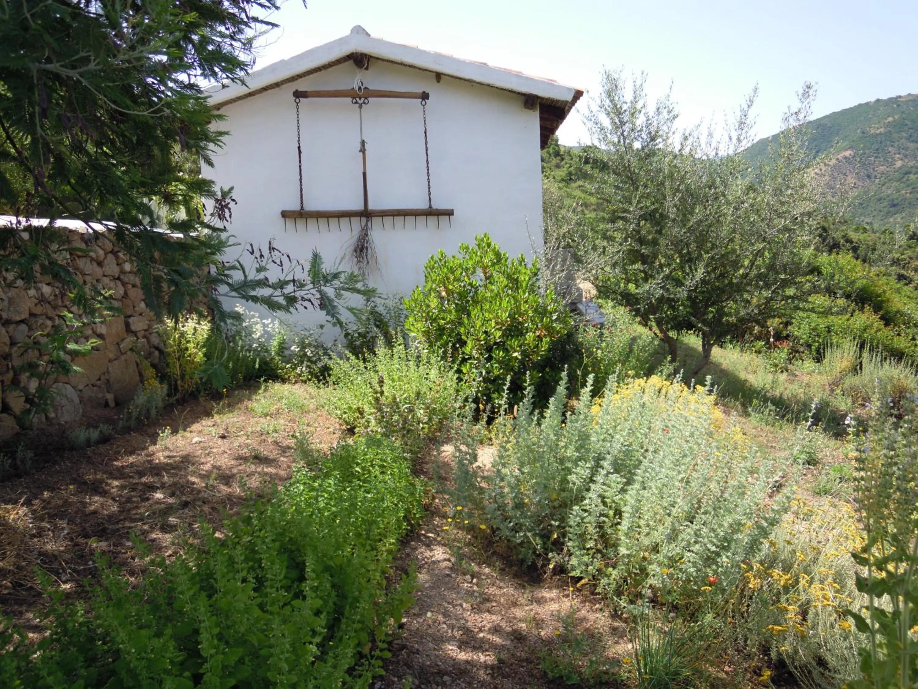 Agriturismo Camisadu