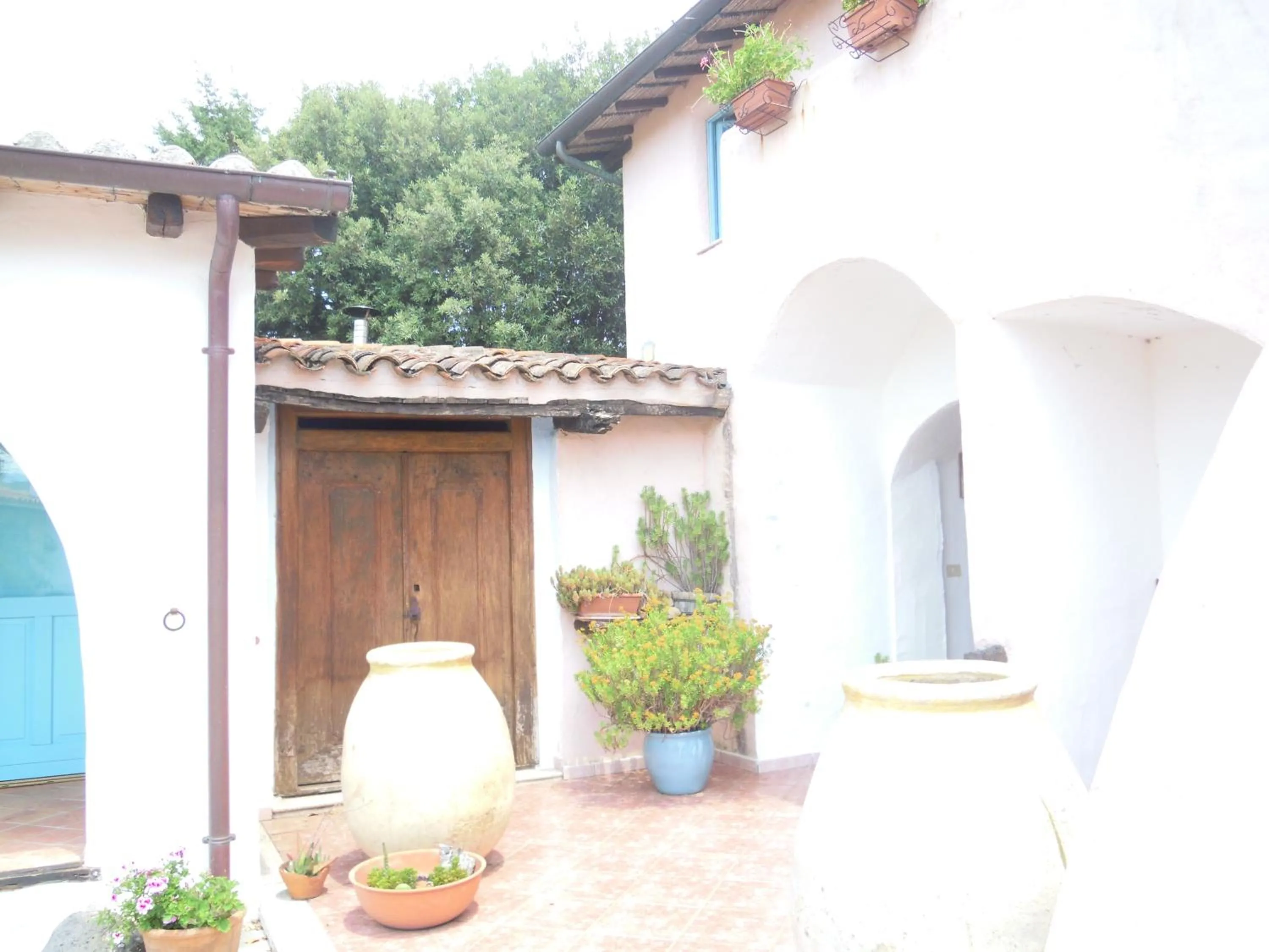 Agriturismo Camisadu