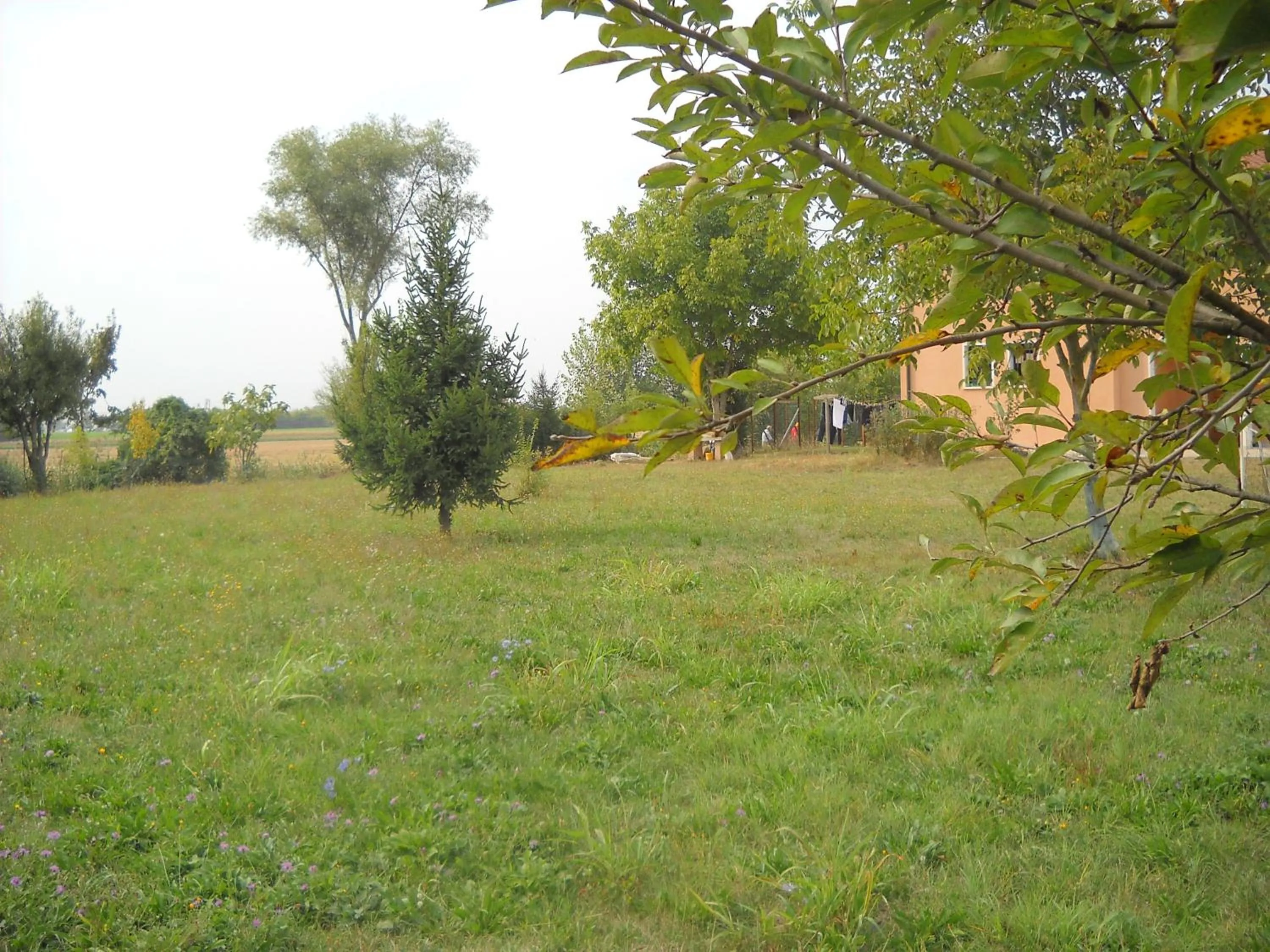 View (from property/room) in Agriturismo Campi Di Grano
