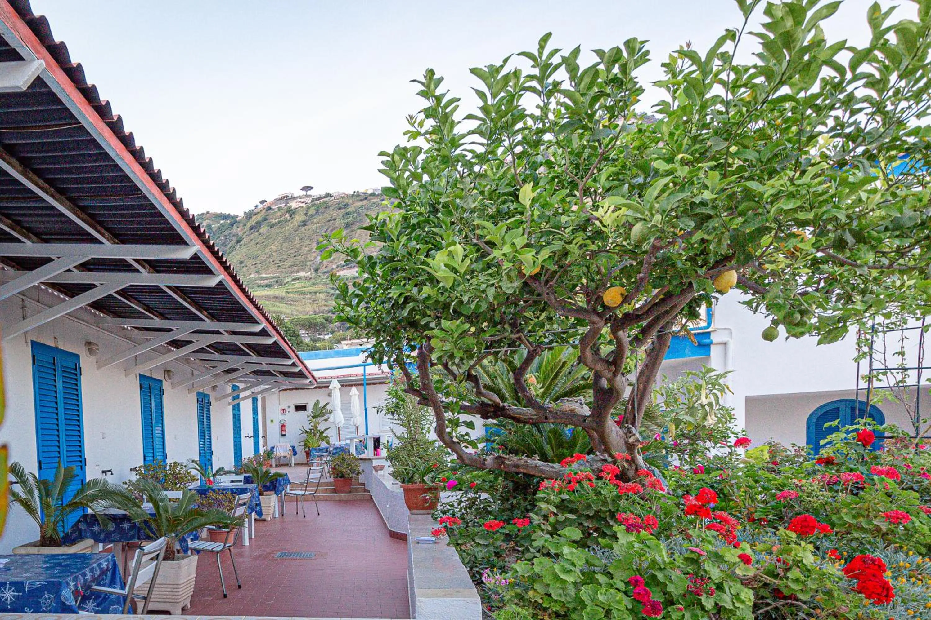 Patio in Hotel Casa Adolfo Ischia
