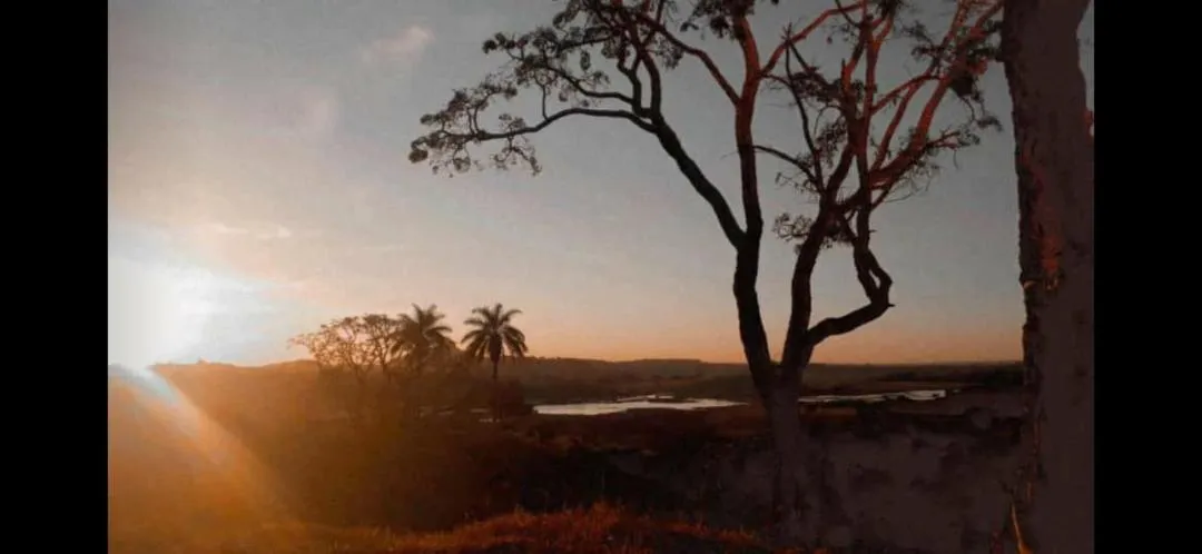 Pousada flores de ipê