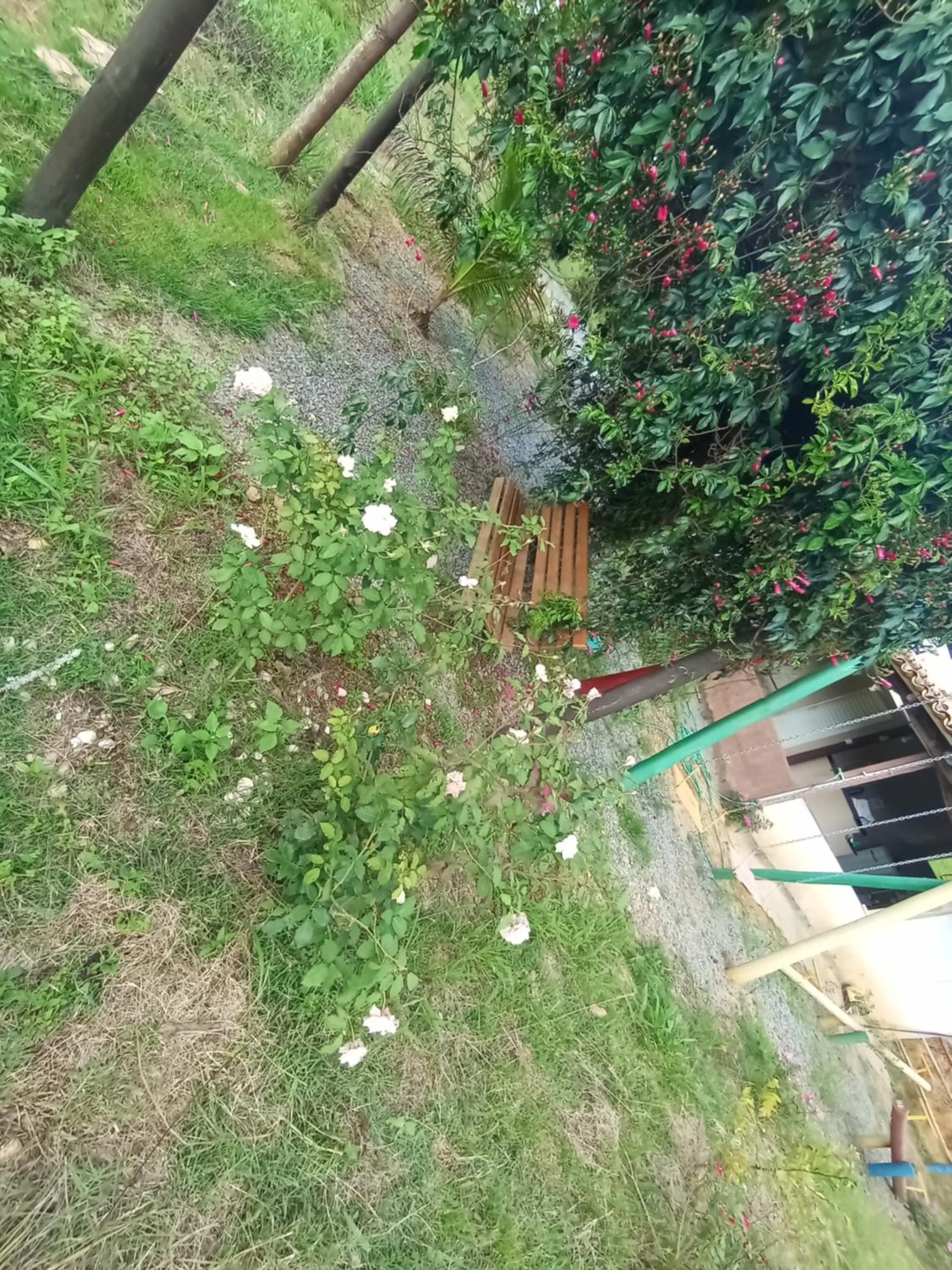 Pousada flores de ipê