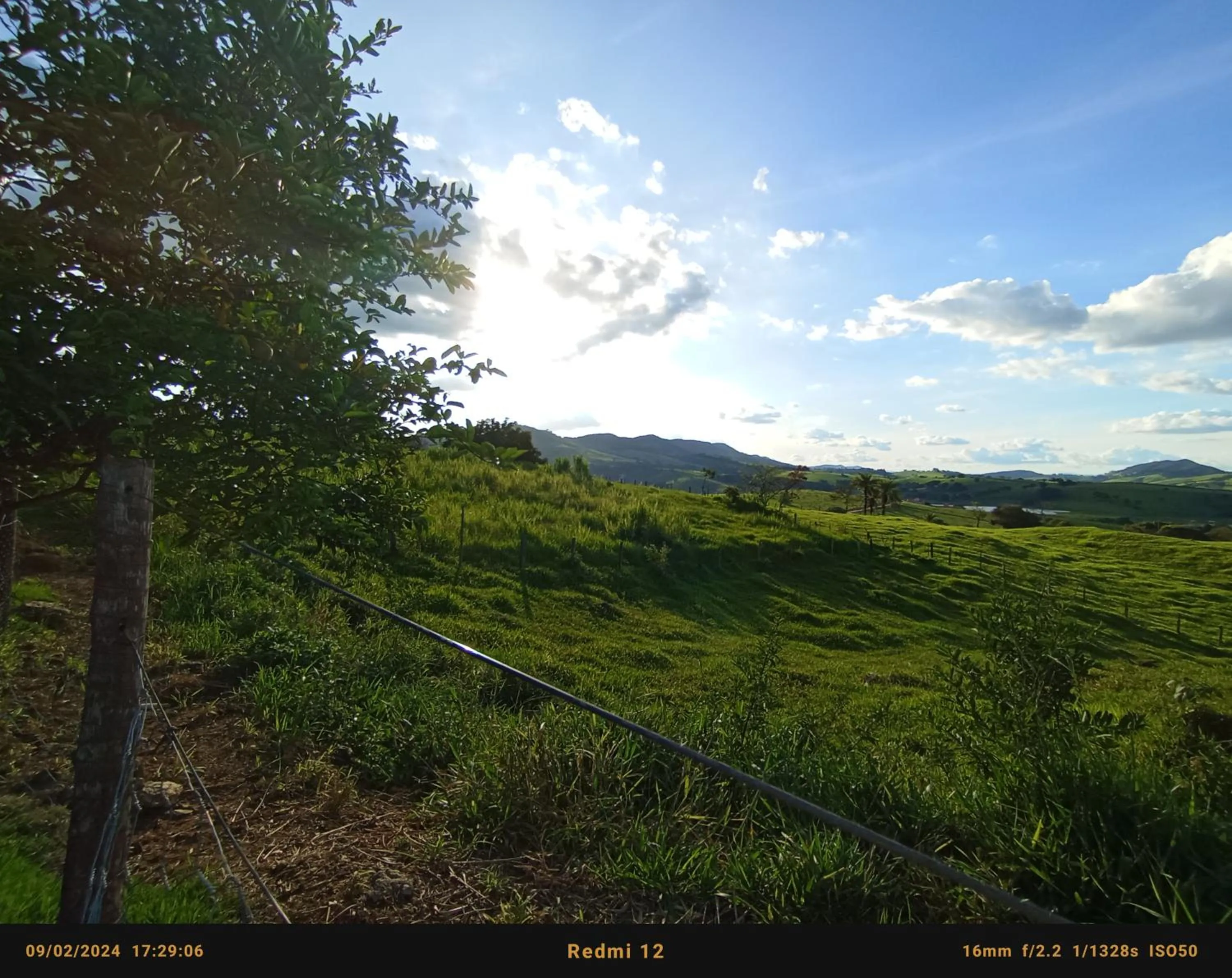 Pousada flores de ipê