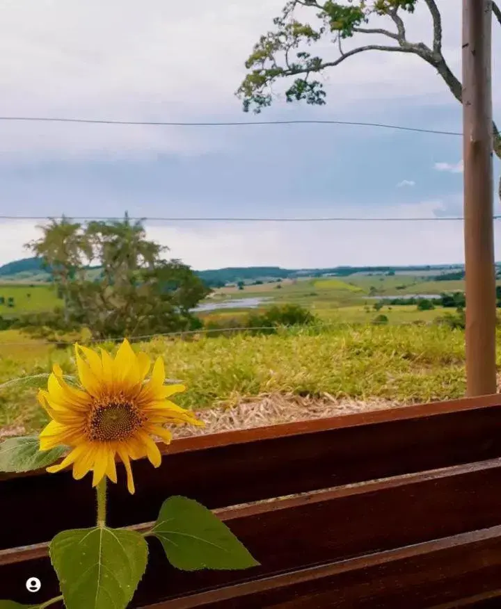 Pousada flores de ipê Pousada flores de ipê