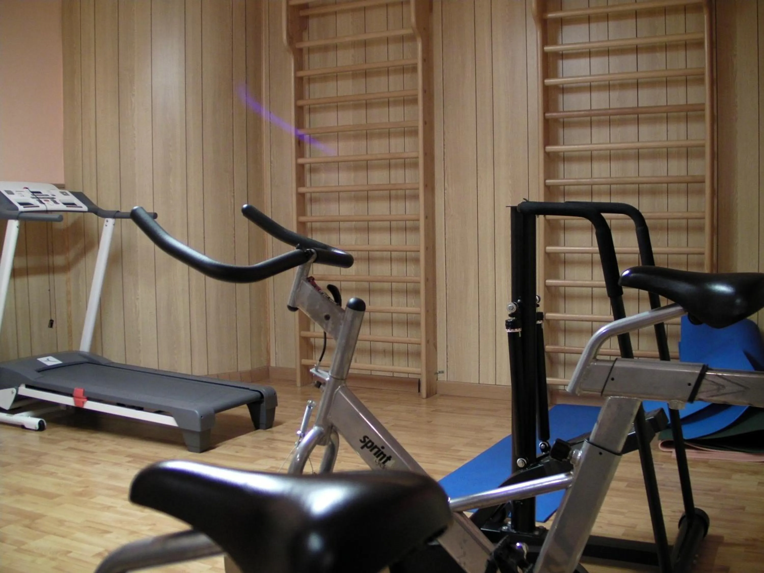 Fitness centre/facilities in Alba Sporting Hotel