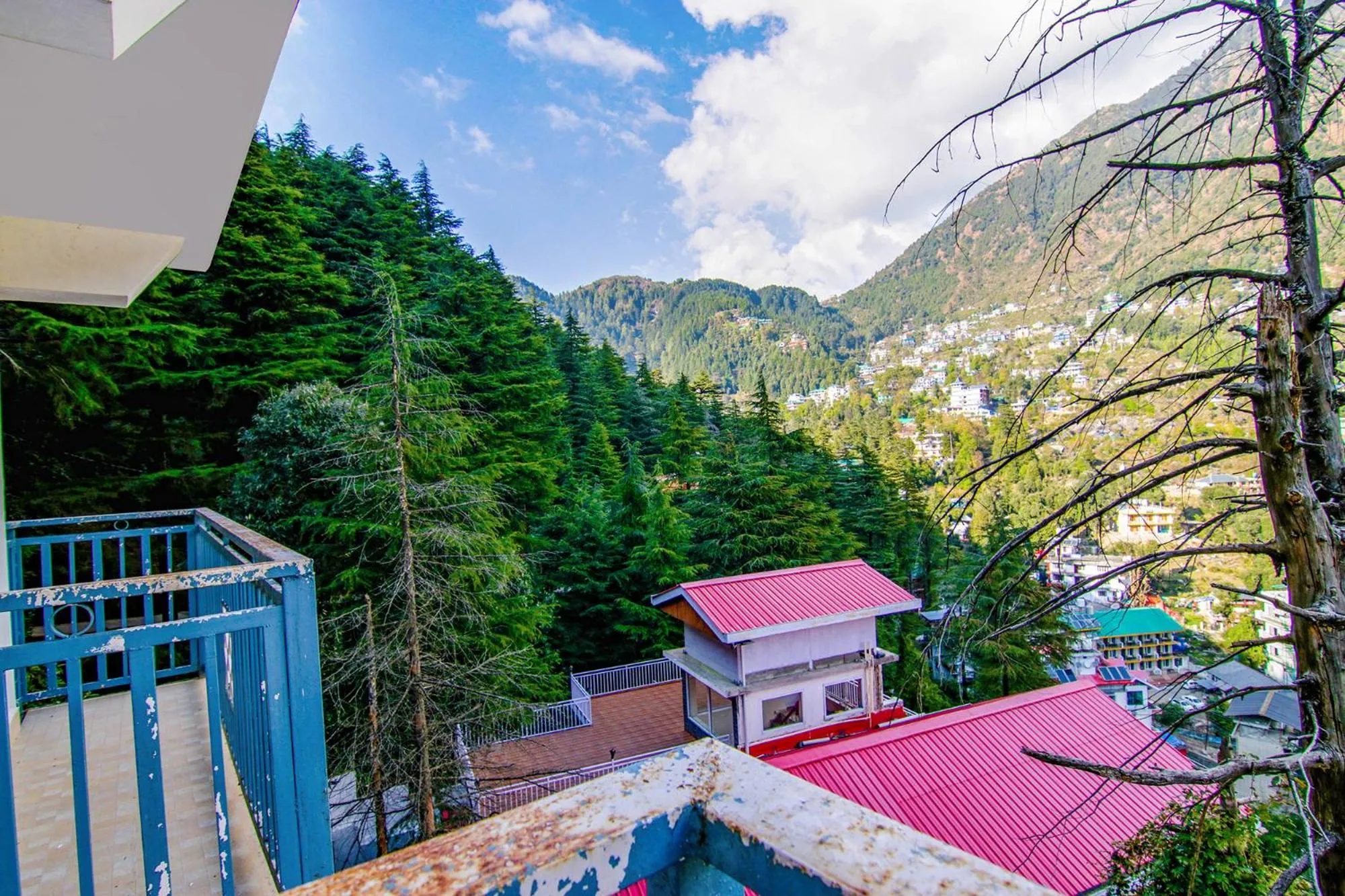 City view in Greenwoods Inn Mcleodganj #Parking #lift #All Balcony Rooms #Rooftop Terrace #Prime Location # Close to the Triund Trek Point 400 Mtr Head