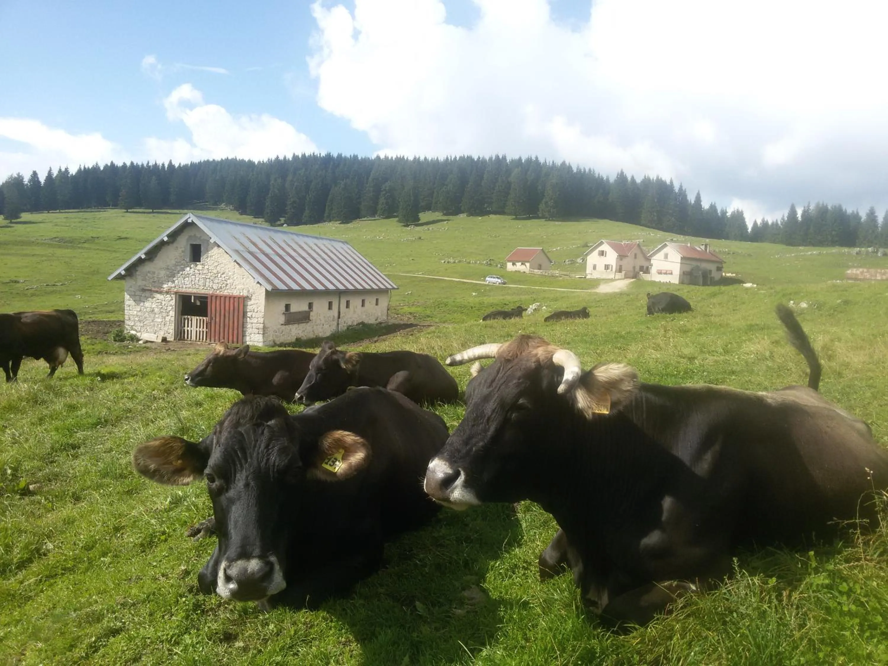 Nearby landmark in Hotel Alpi - Foza