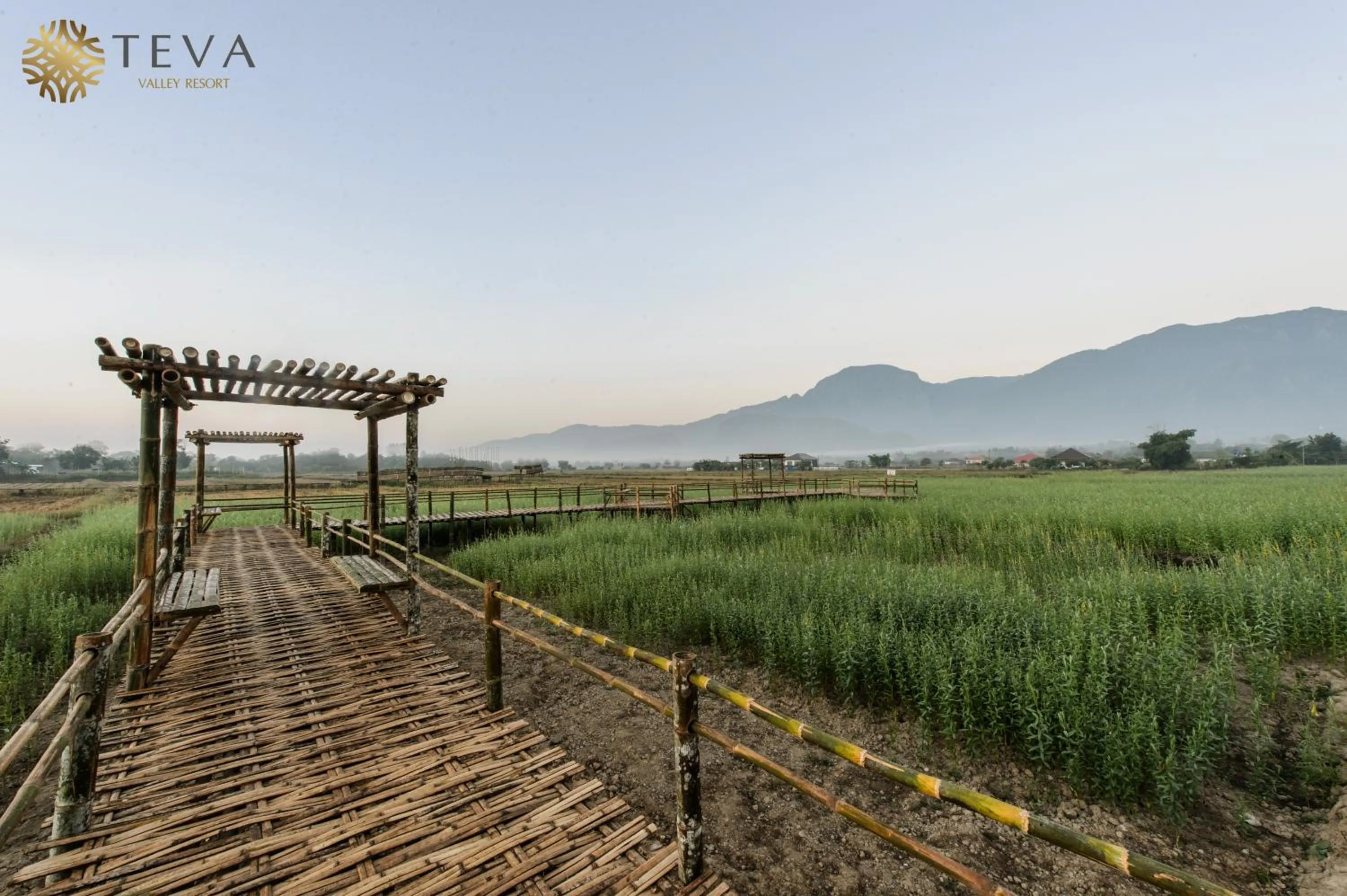 Natural landscape in TEVA Valley Resort