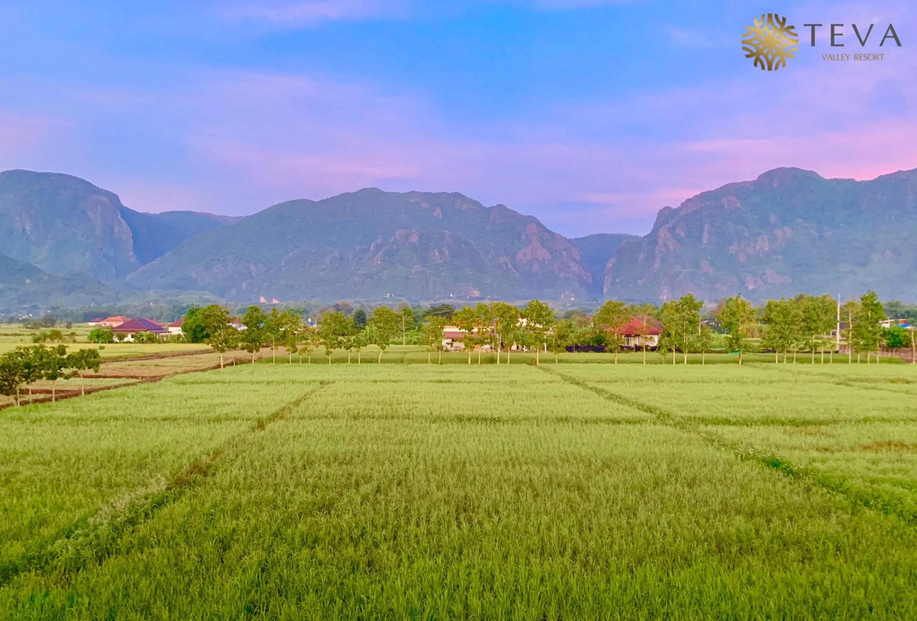 Natural landscape in TEVA Valley Resort